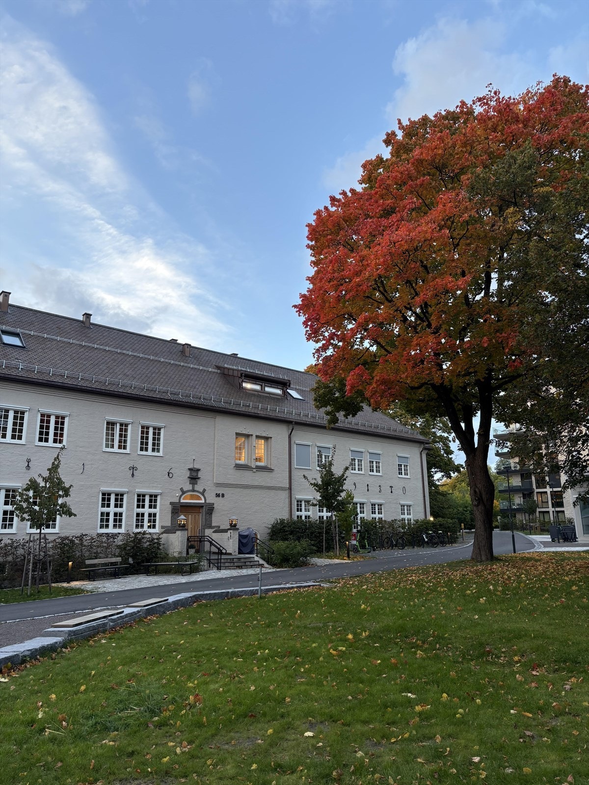 Stemningsbilde høst. Galleribilde