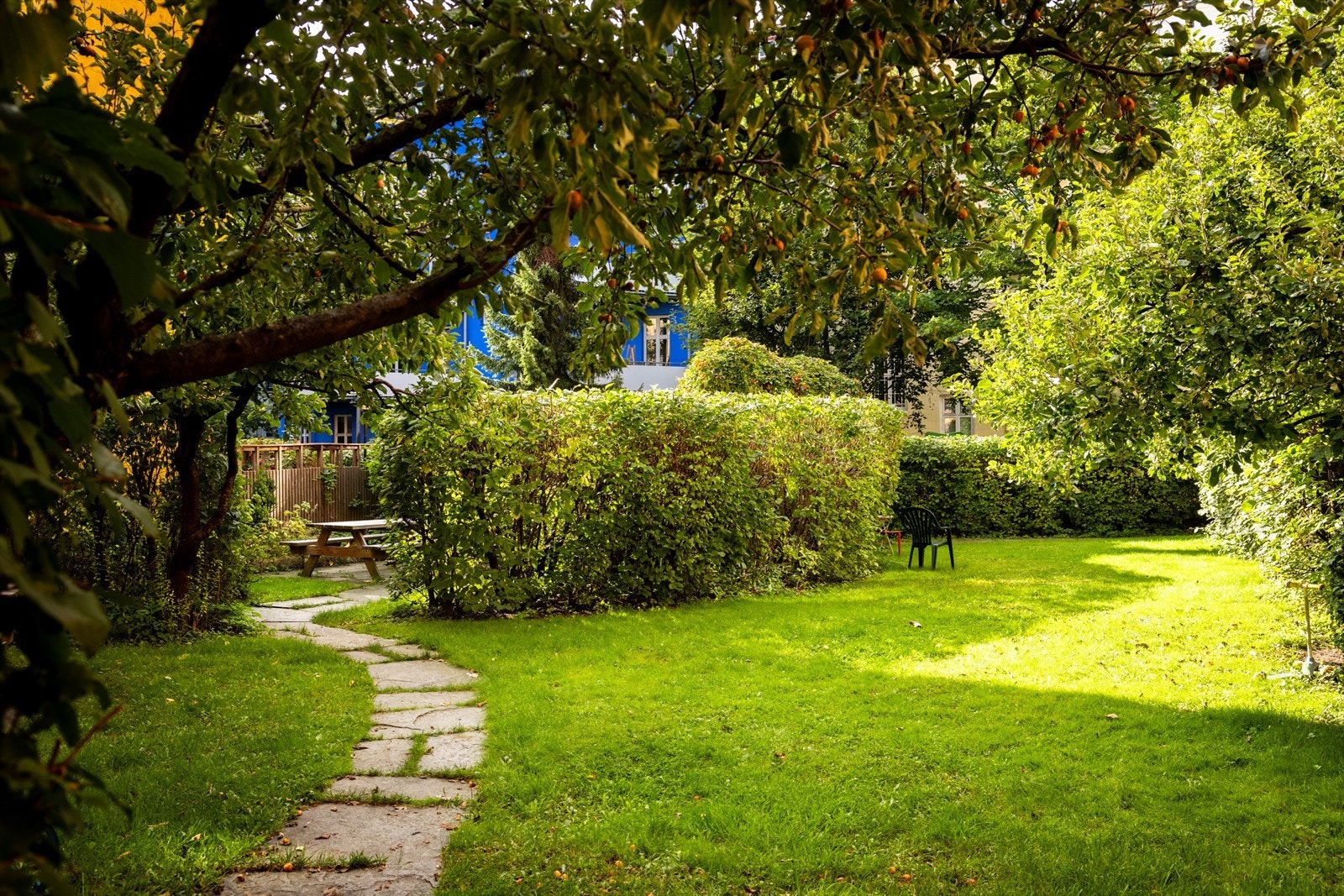 Flott felles bakgård! Galleribilde