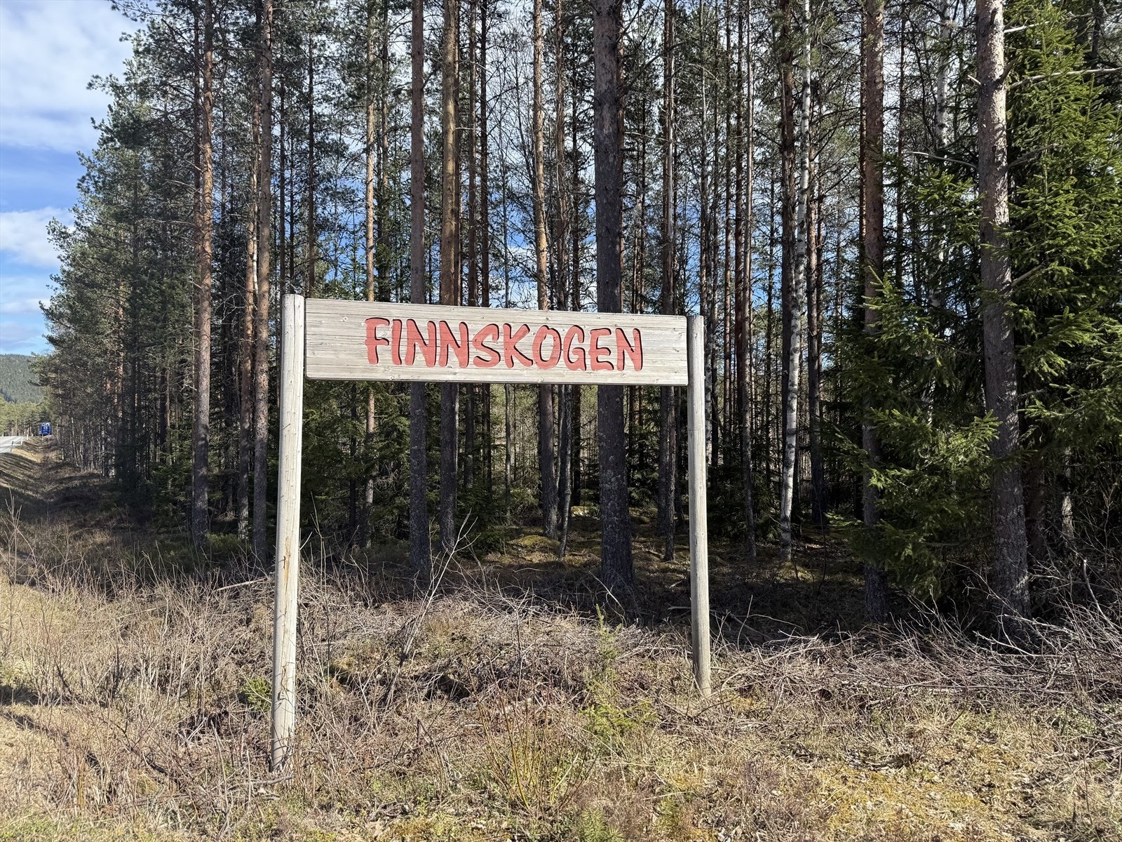 Selgers bilde. Galleribilde