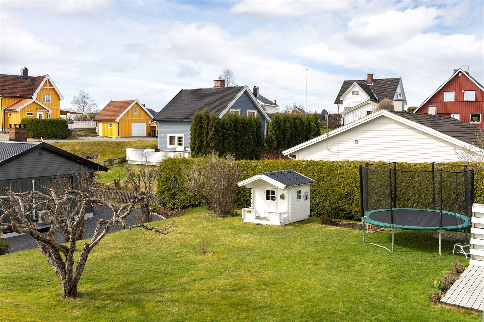 Hagen er opparbeidet med plen, hekkbeplanting og frukttrær. Galleribilde