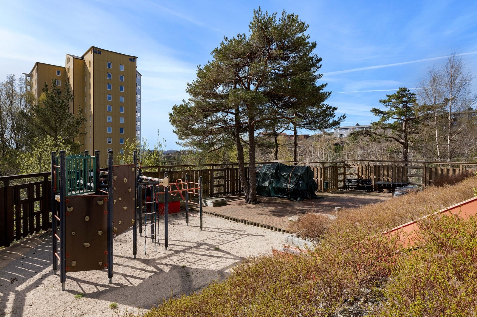 Fellesareal. Galleribilde