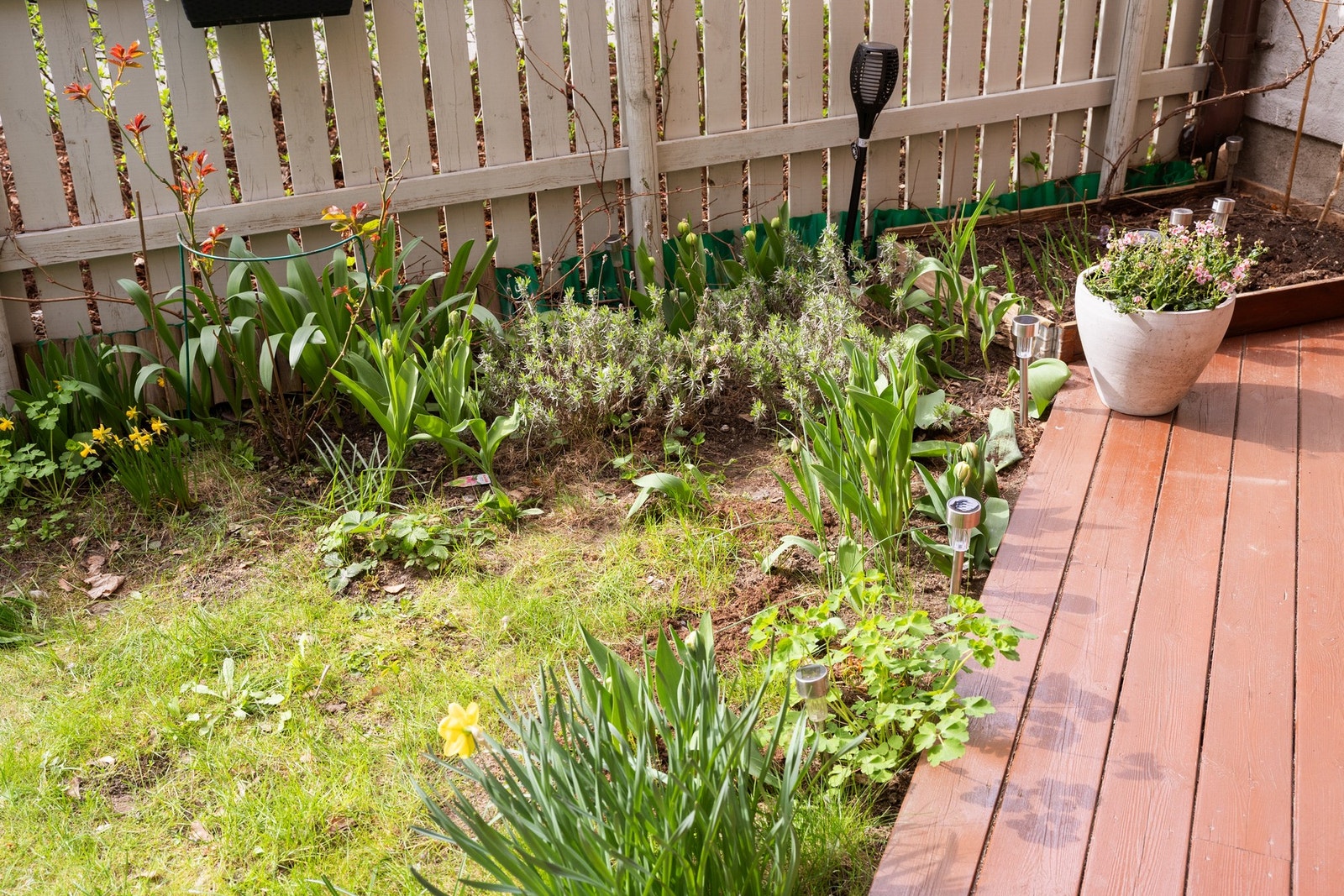Hagen er inngjerdet og her kan man plante frukttrær, bærbusker, urtebed eller hva man måtte ønske Galleribilde