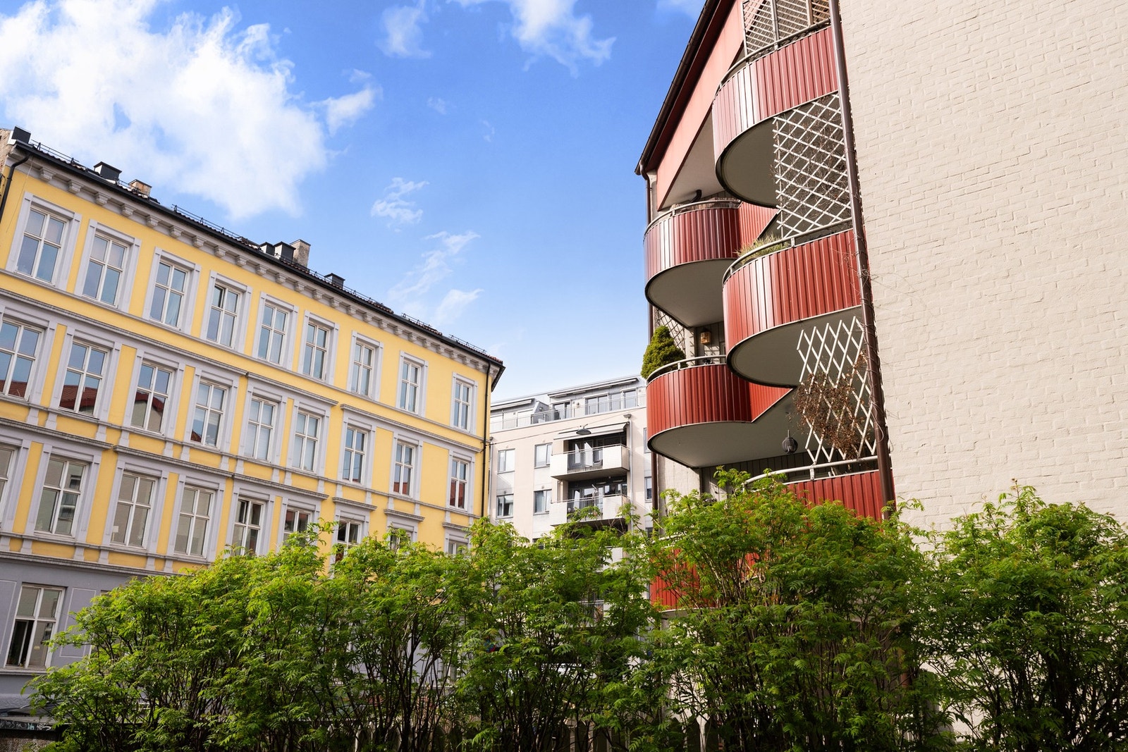 Hekken og gjerdet hindrer innsyn mot markterrasse og hage Galleribilde