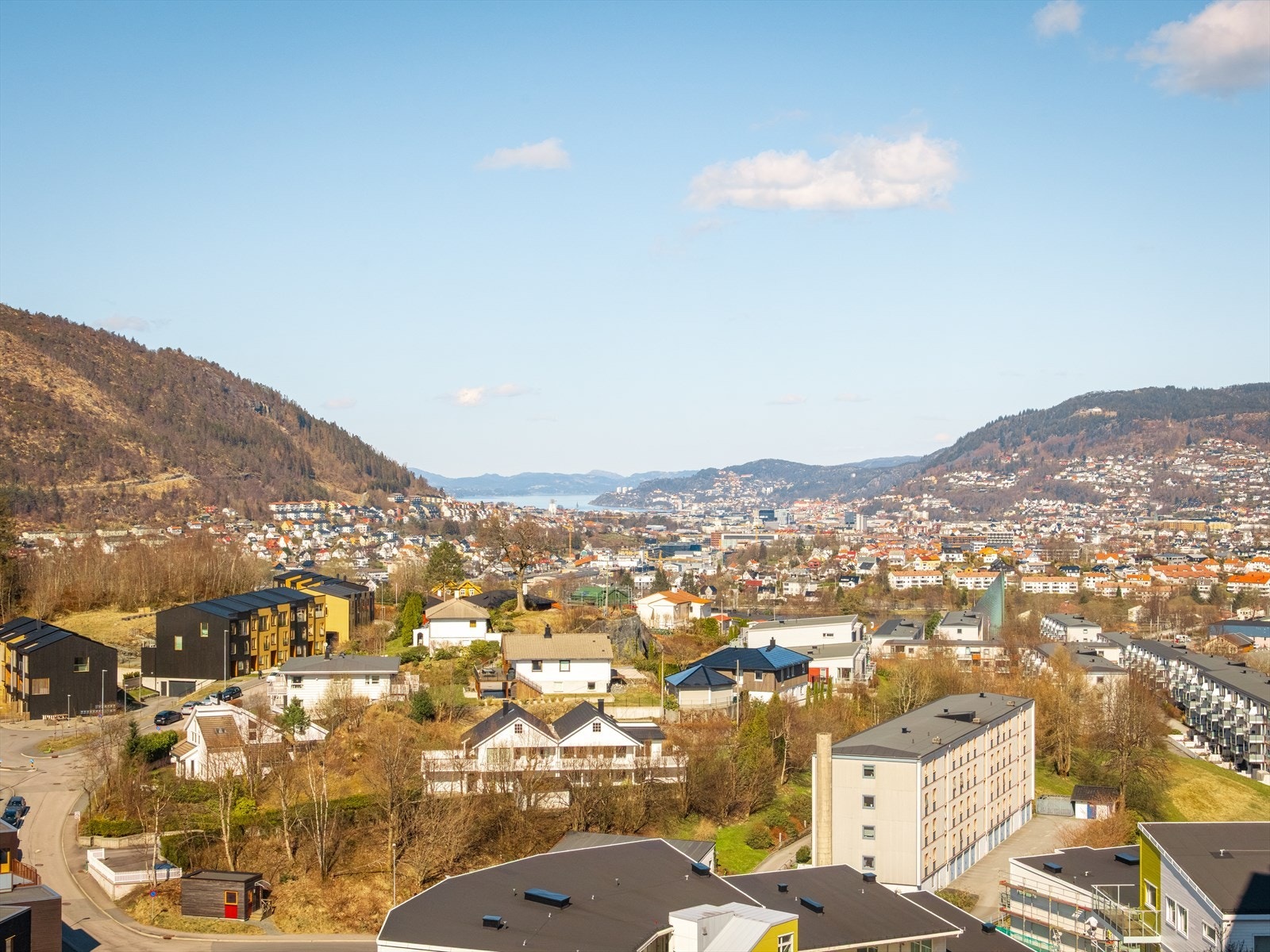 Flott utsikt Galleribilde