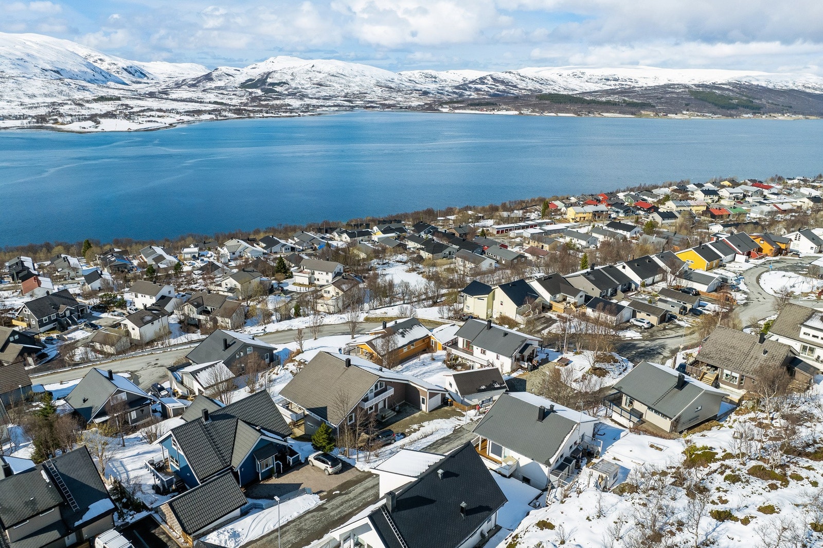 Områdebilde Galleribilde