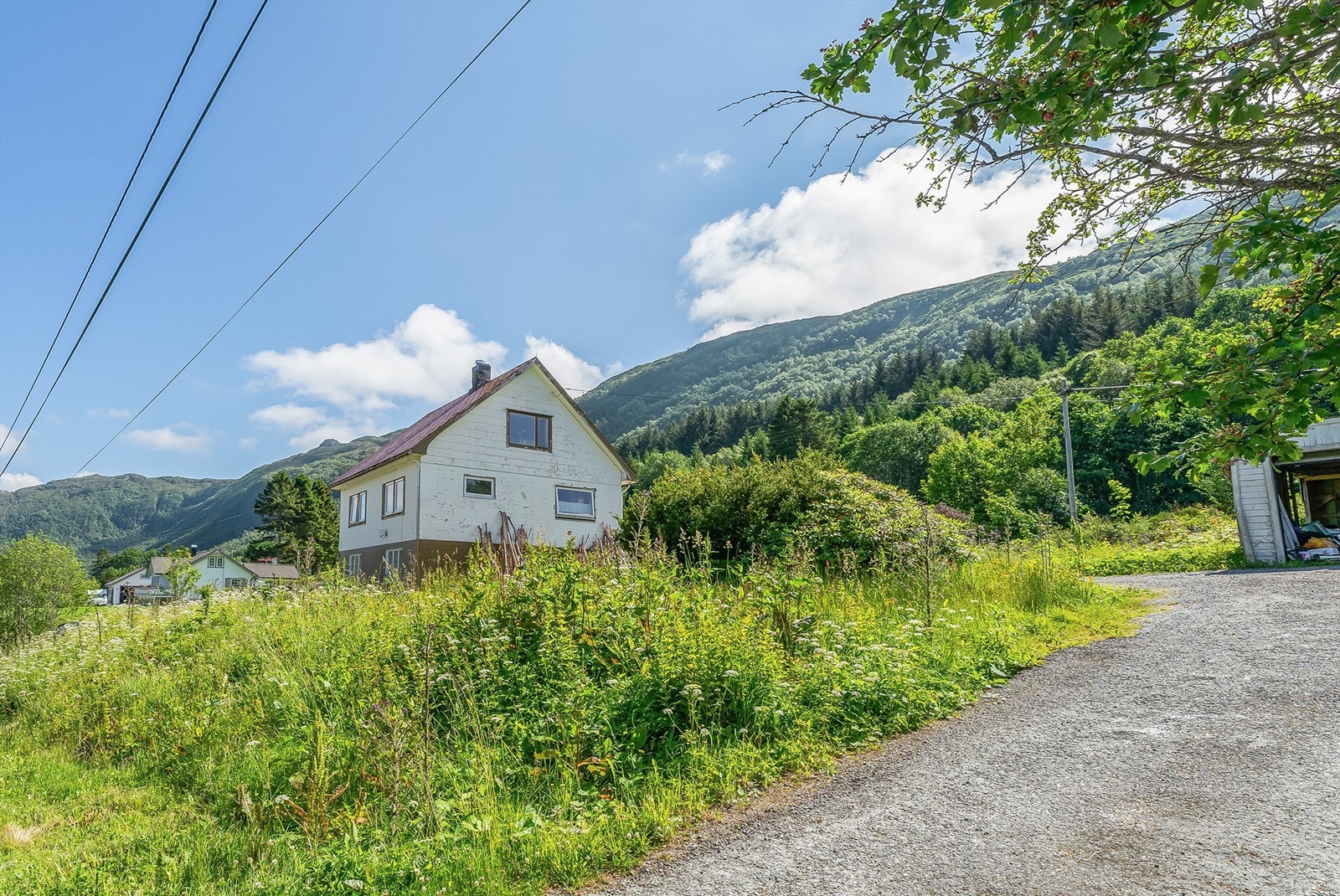 Velkommen til visning! Galleribilde