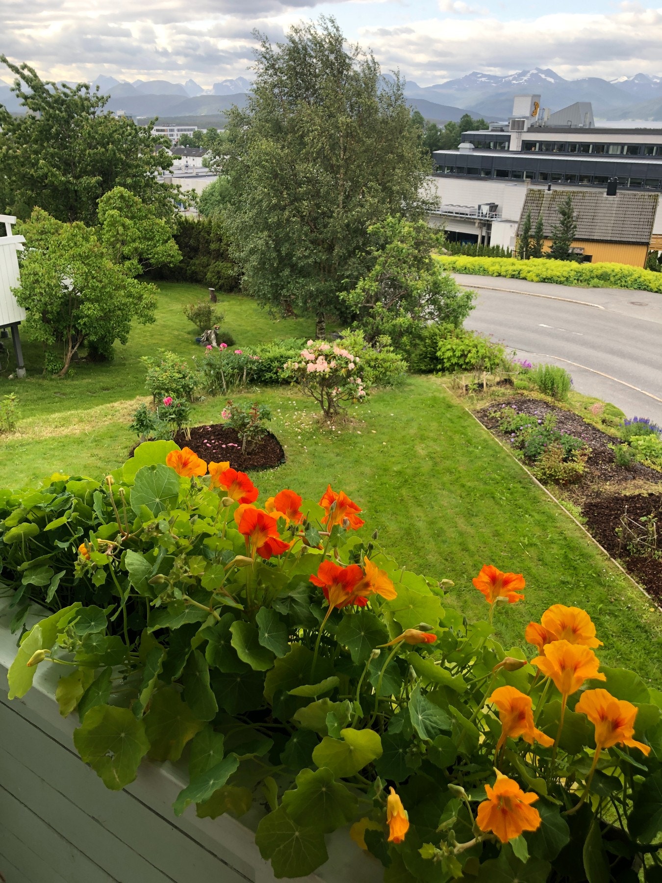 Privat bilde Galleribilde