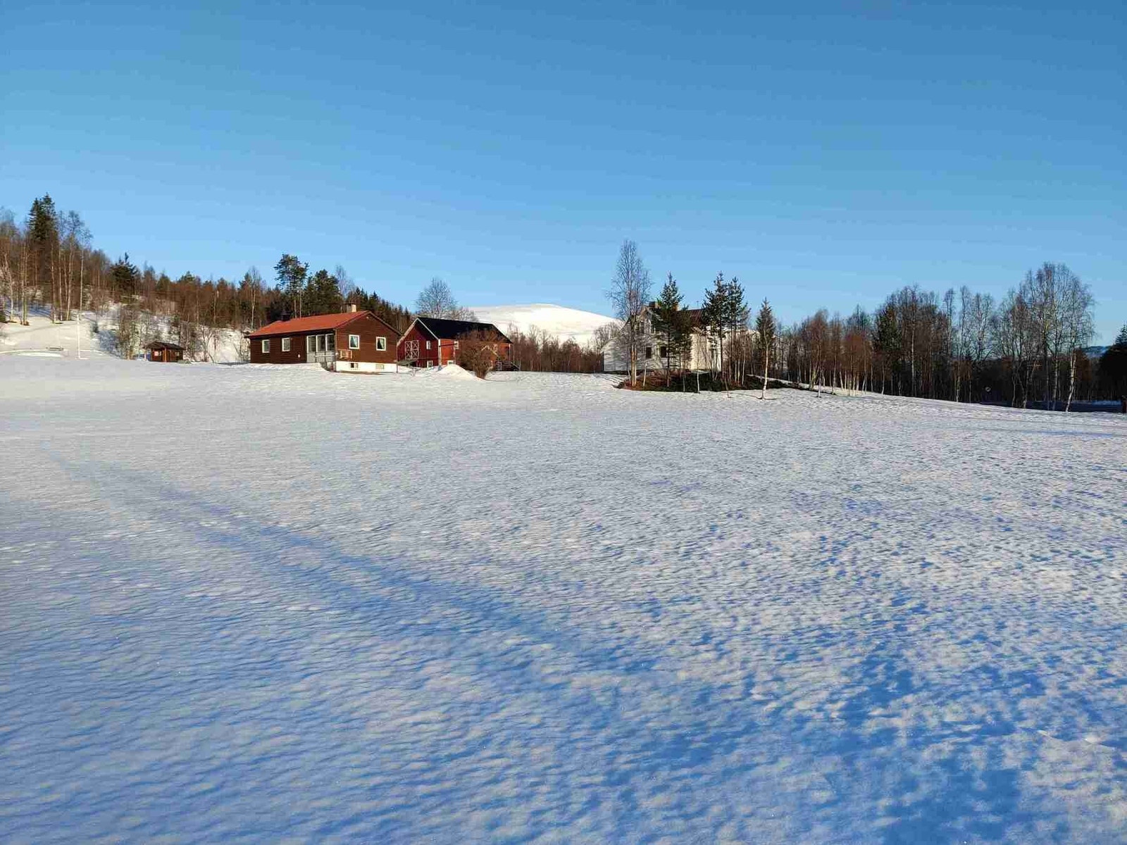Selgers private bilde Galleribilde