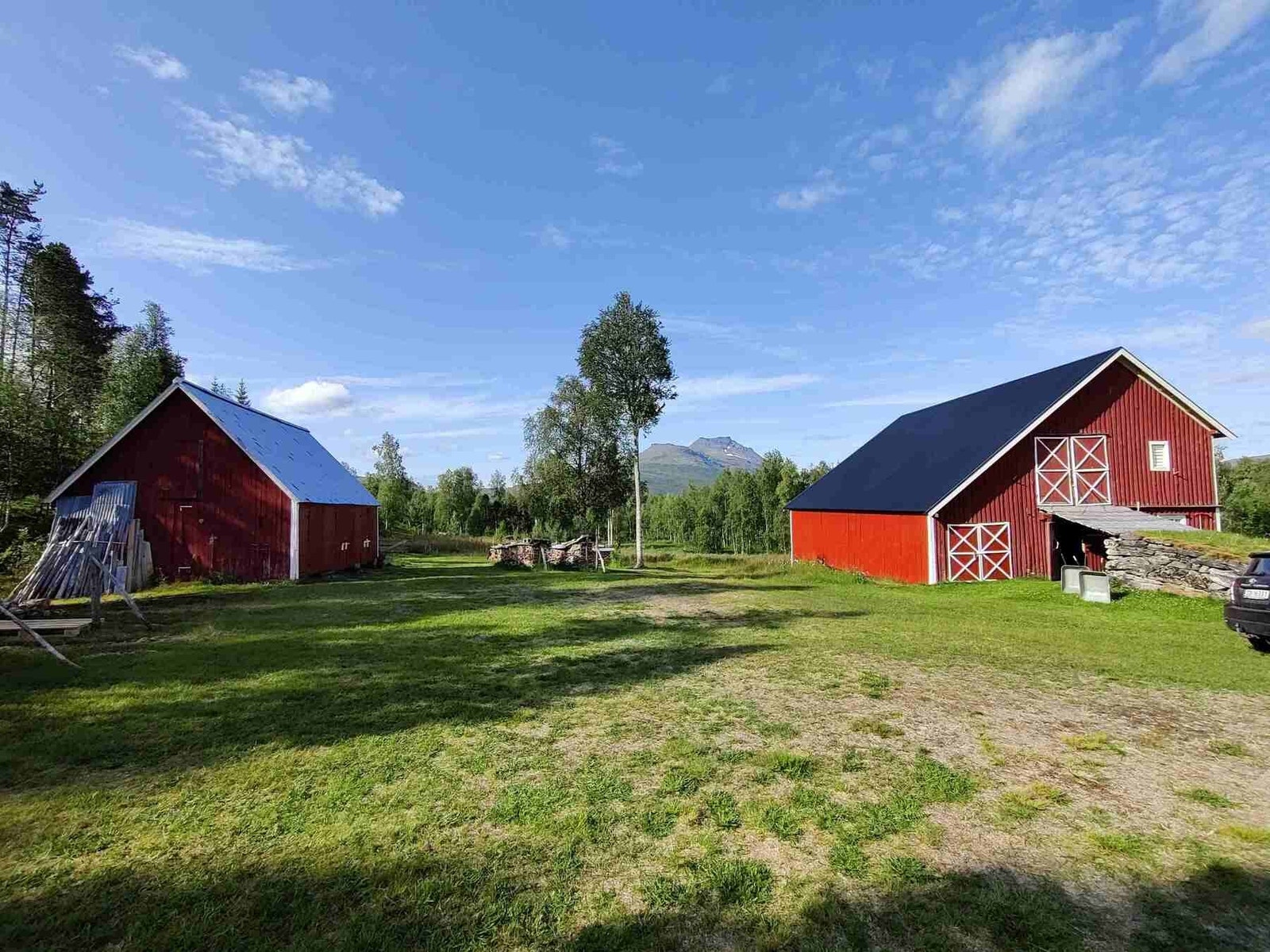Selgers private bilde Galleribilde