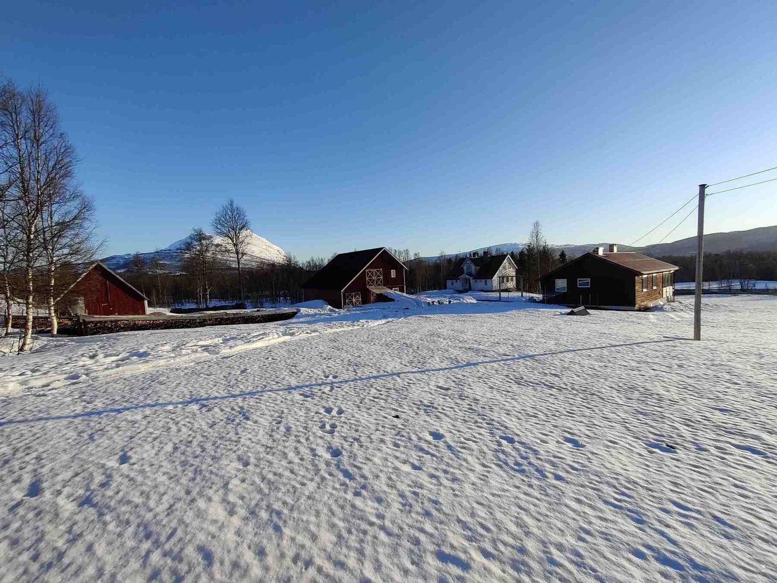 Selgers private bilde Galleribilde