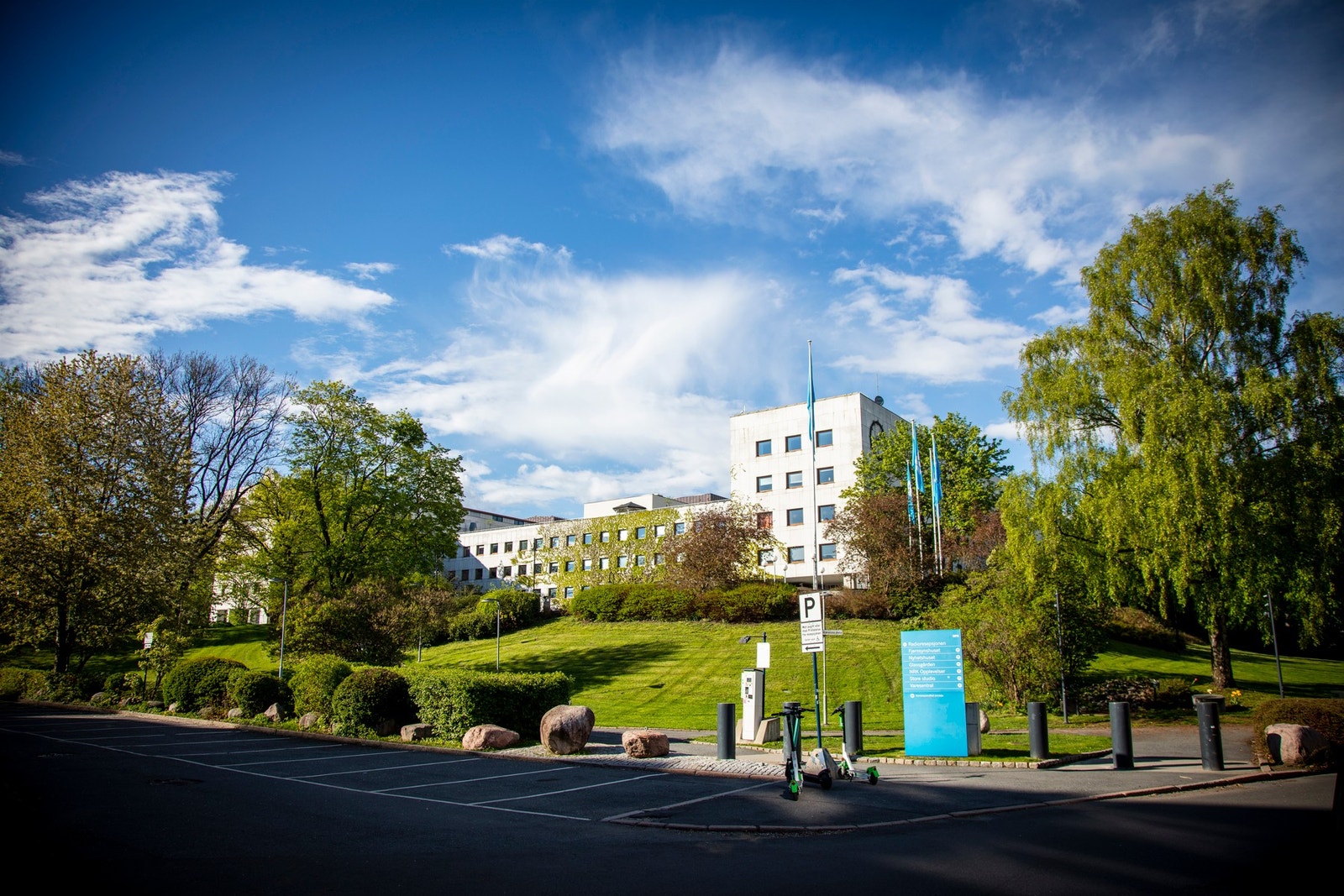 Fra leiligheten er det gangavstand til Marienlyst med stort park/idrettsområde Galleribilde
