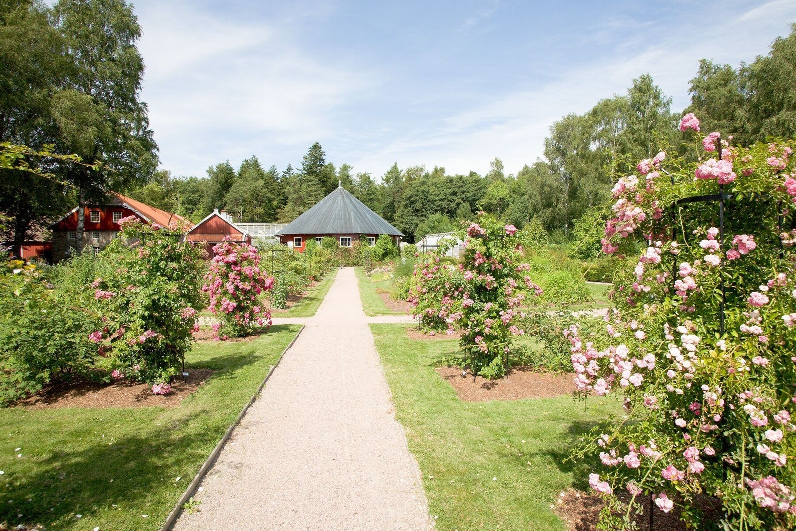 Fra Gimle Gård - helt fantastisk Botanisk Museum Galleribilde