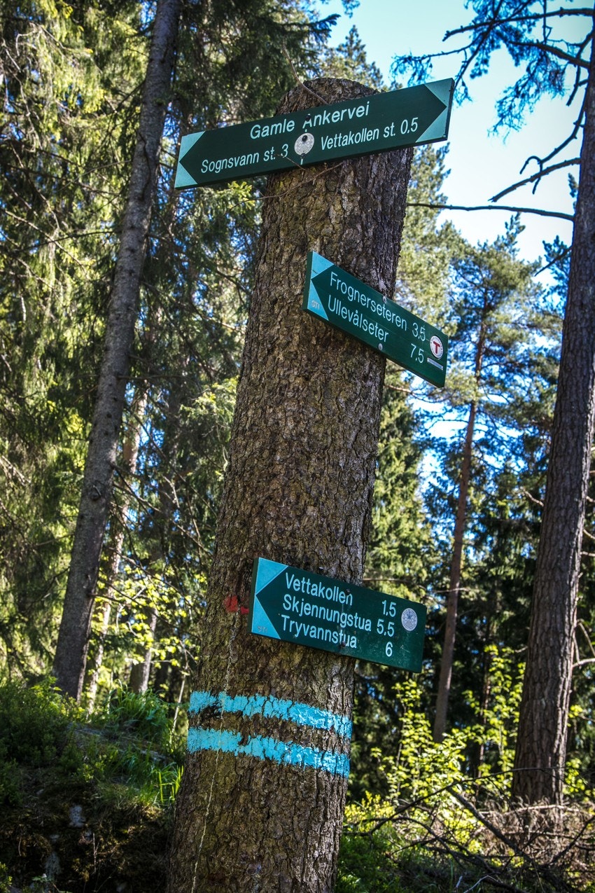 Flotte turmuligheter Galleribilde