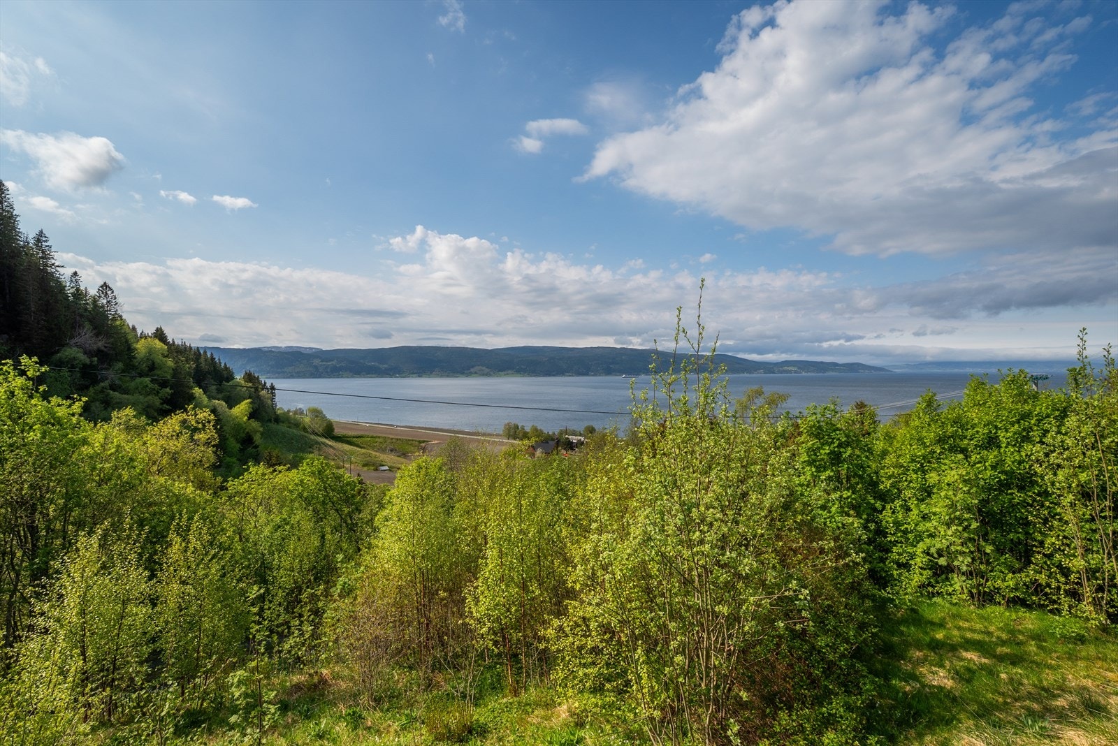 Utsikt Galleribilde