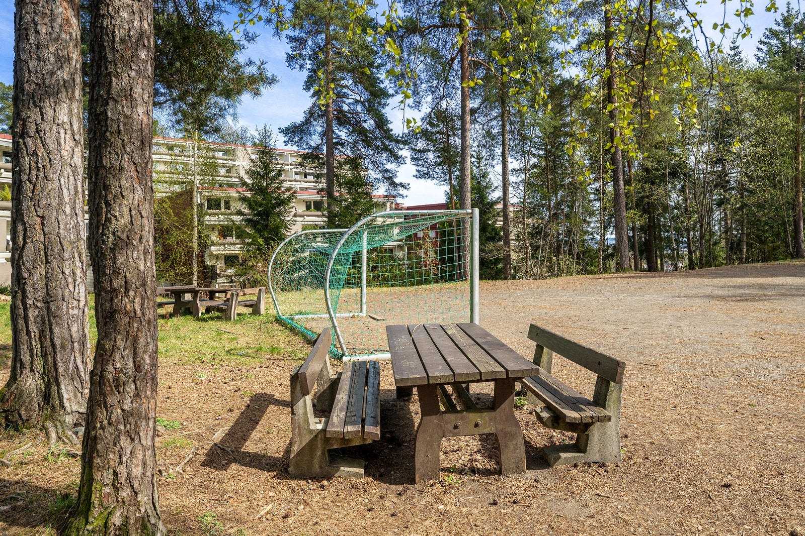 I umiddelbar nærhet finner du blant annet en fotballbane. Galleribilde