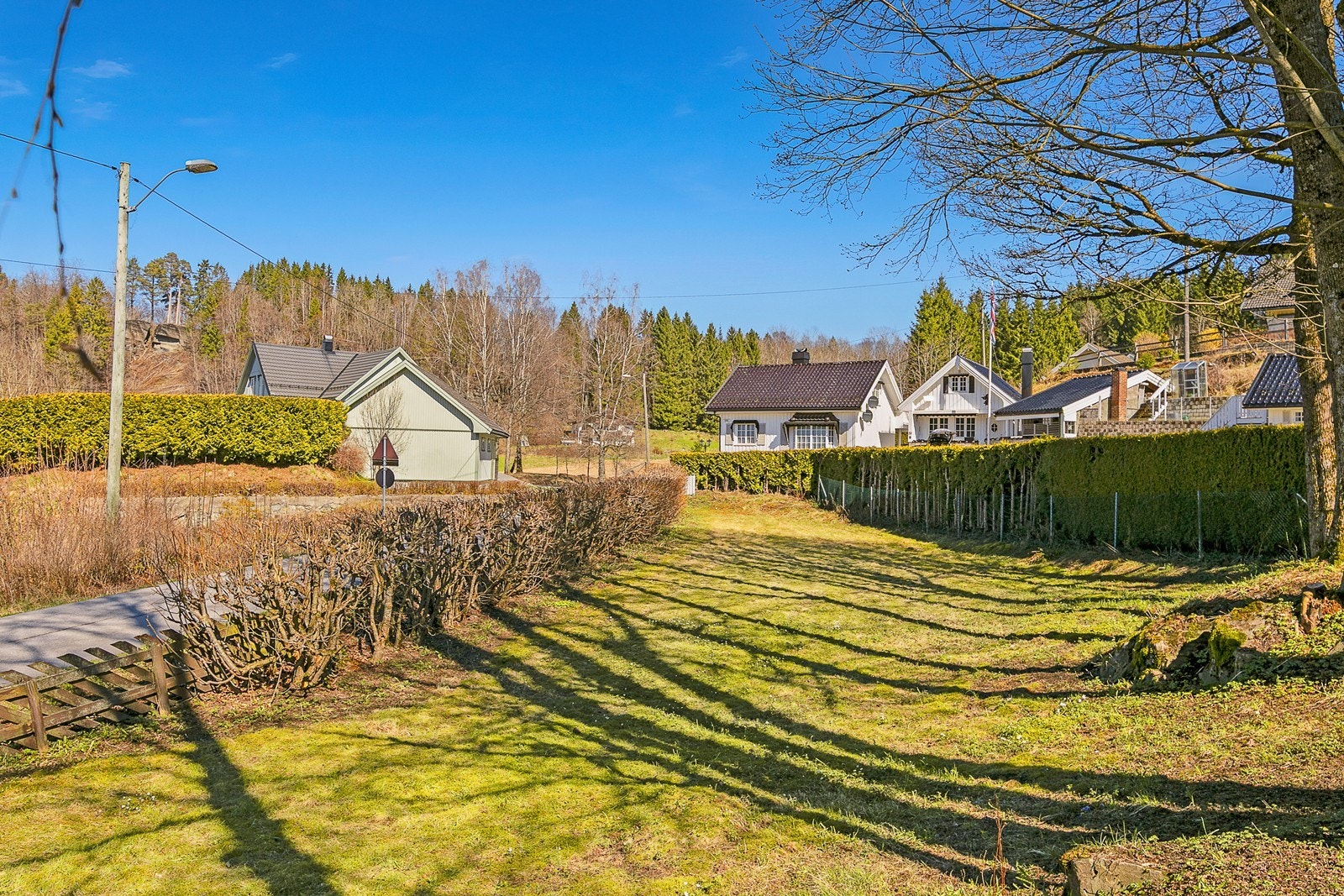 Del av hage Galleribilde
