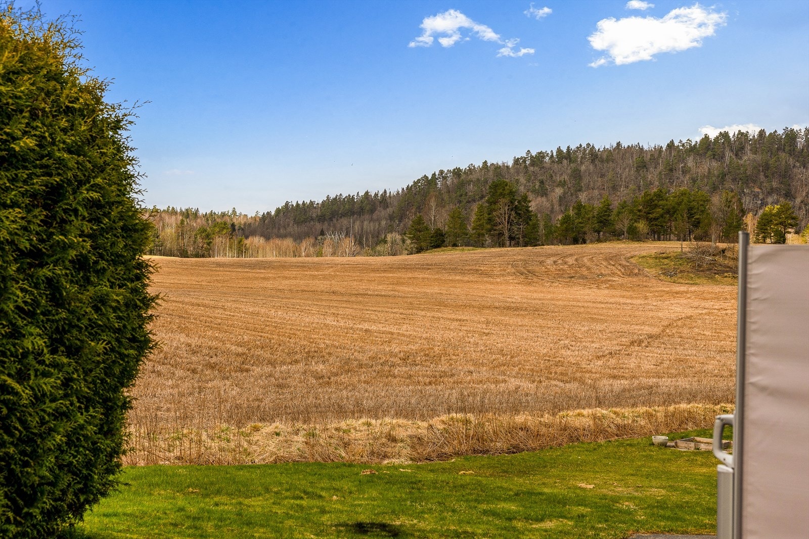 Utsikt over nærområdet med jorder og skog. Galleribilde