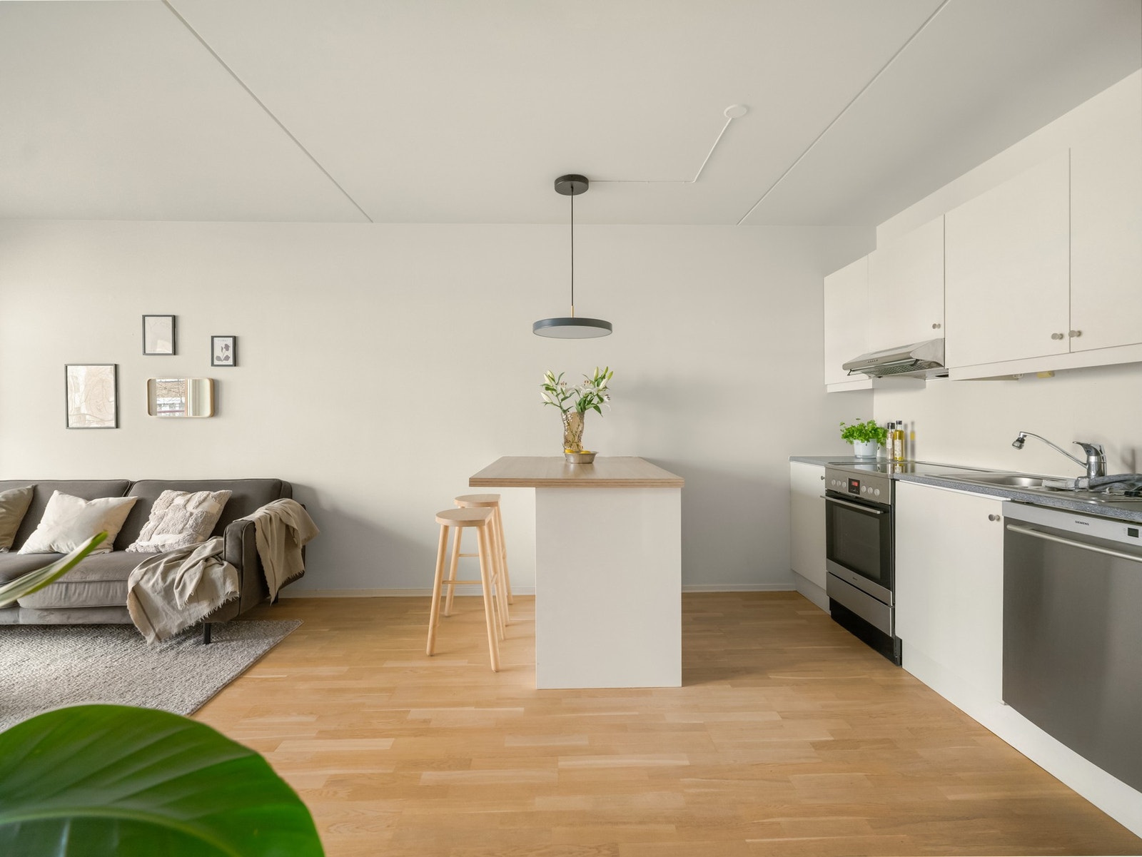 Øyen fungere utmerket som spiseplass og romfordeler. Galleribilde