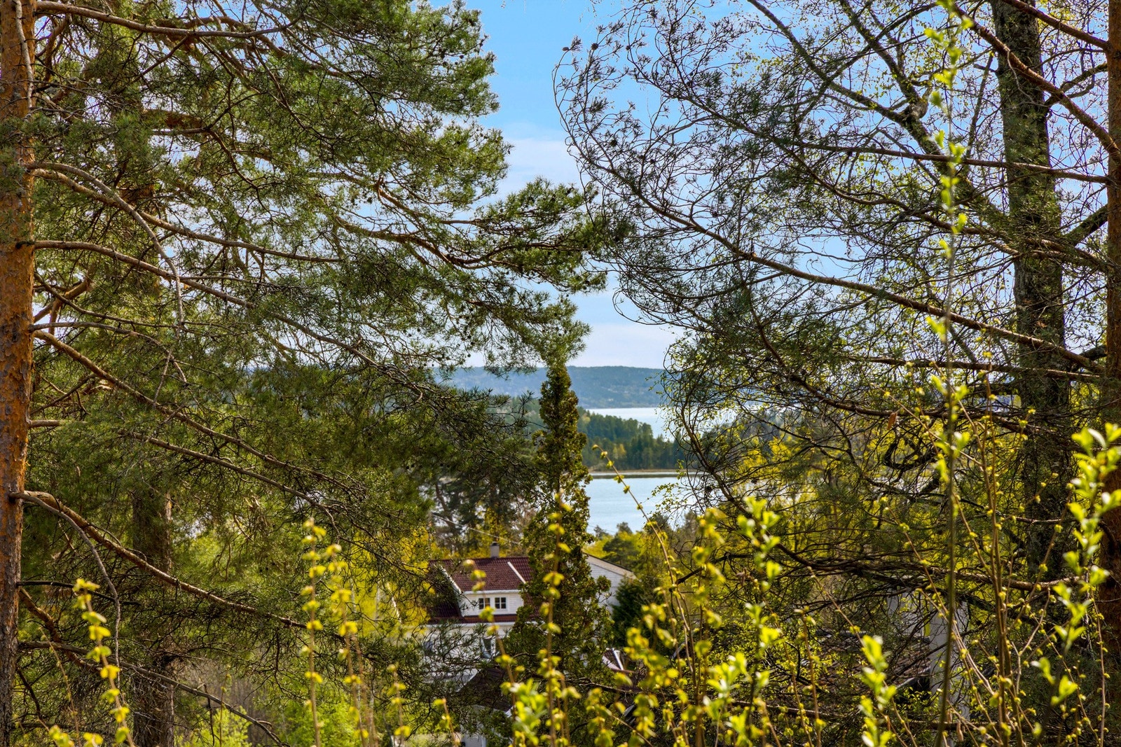 Sjøutsikt fra tenkt beliggenhet. Galleribilde
