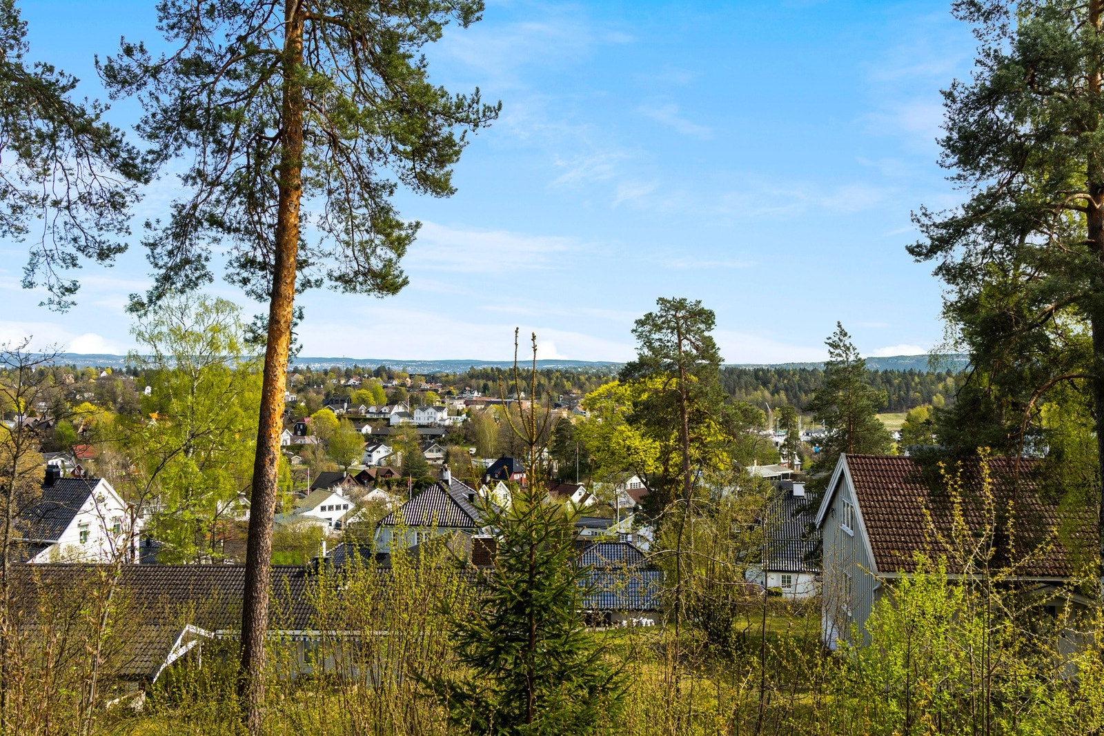 Utsikt mot øst. Galleribilde
