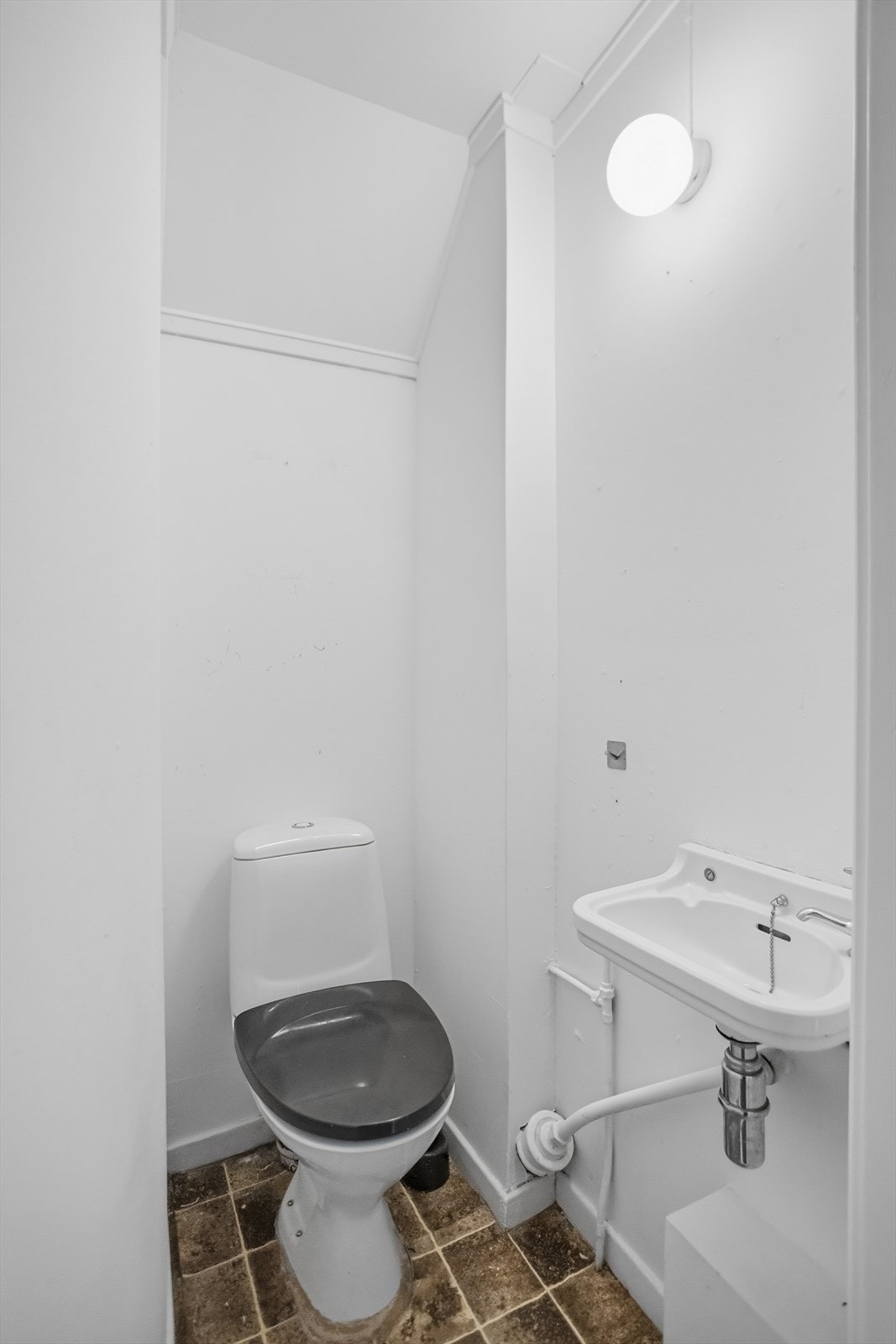 8B8A7342.jpg Galleribilde