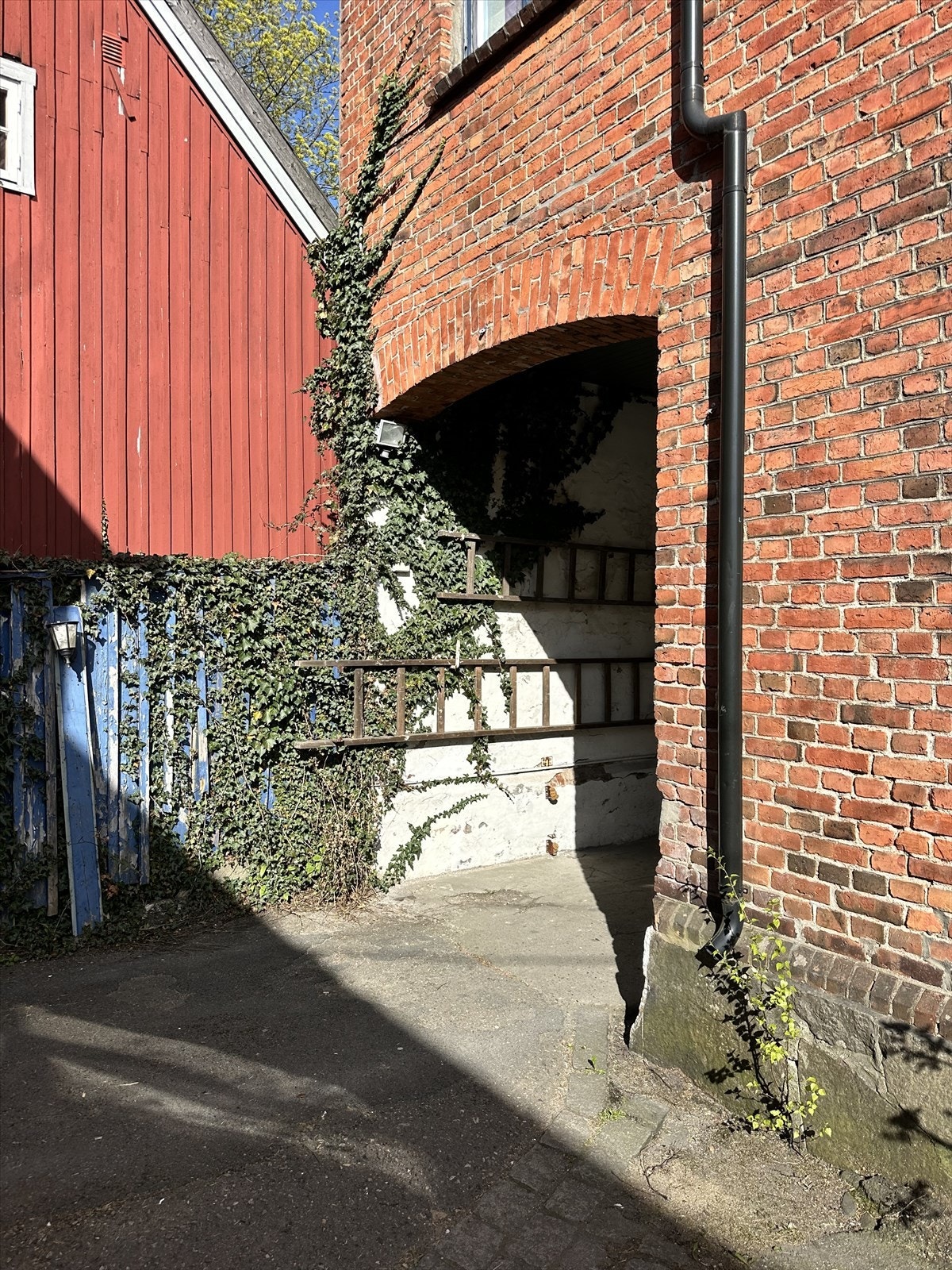 Portrommet Galleribilde