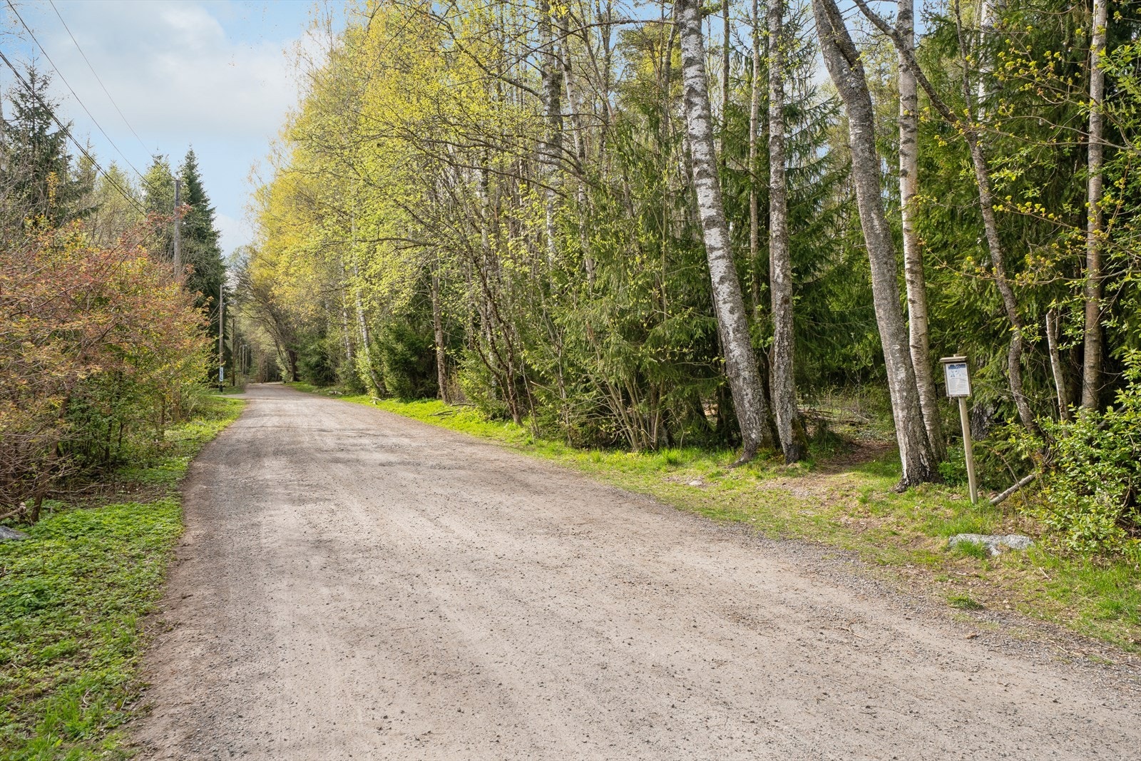 Hebekkskogen byr på flotte turområder, både sommer og vinterstid. Galleribilde