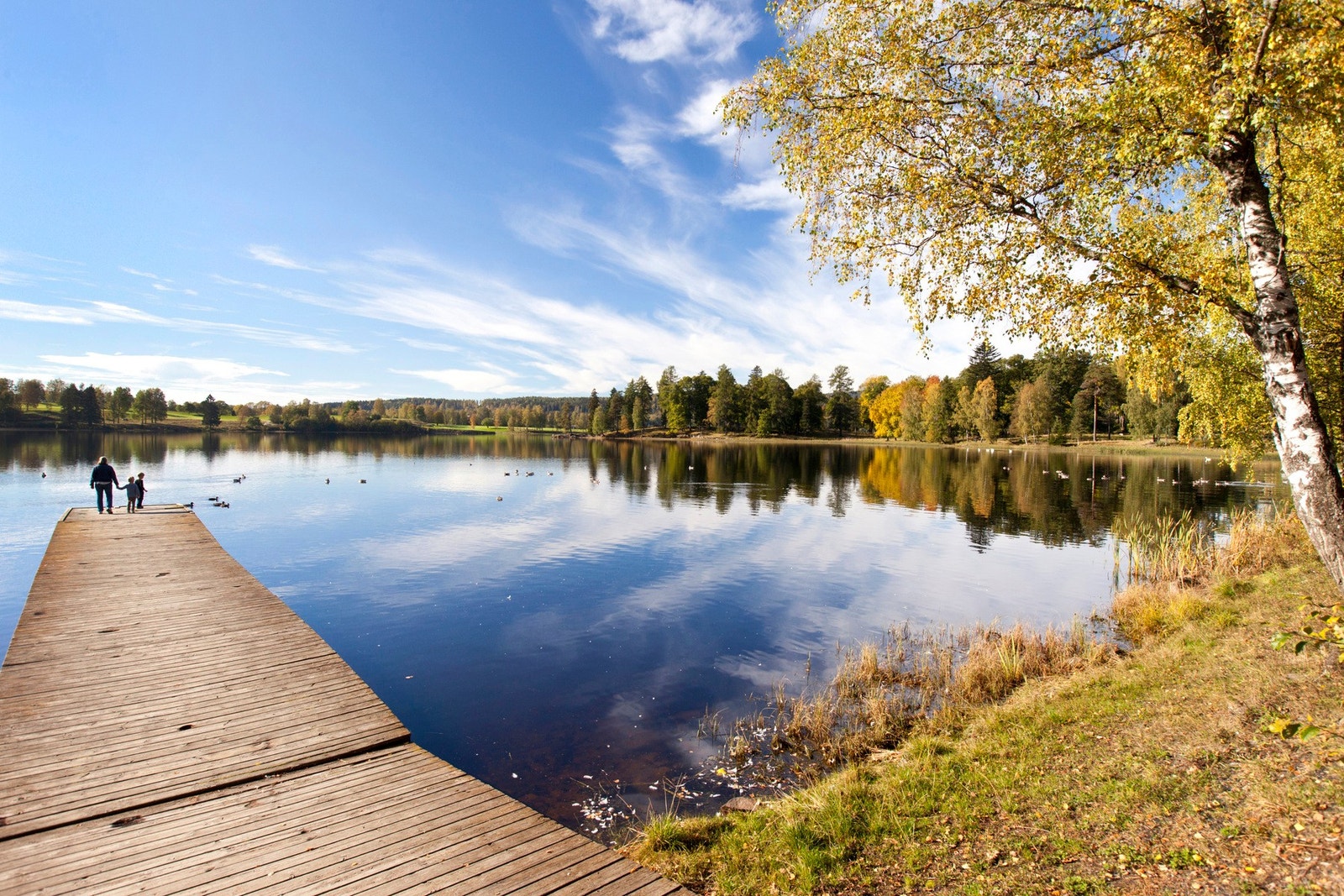 Bogstadvannet - et av Oslos mest populære turområder, med idylliske omgivelser og gode rekreasjonsmuligheter året rundt! Galleribilde