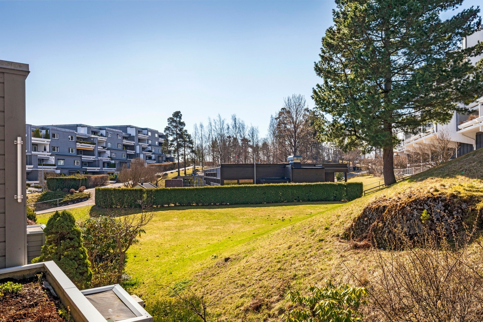 Velkommen til visning! Galleribilde