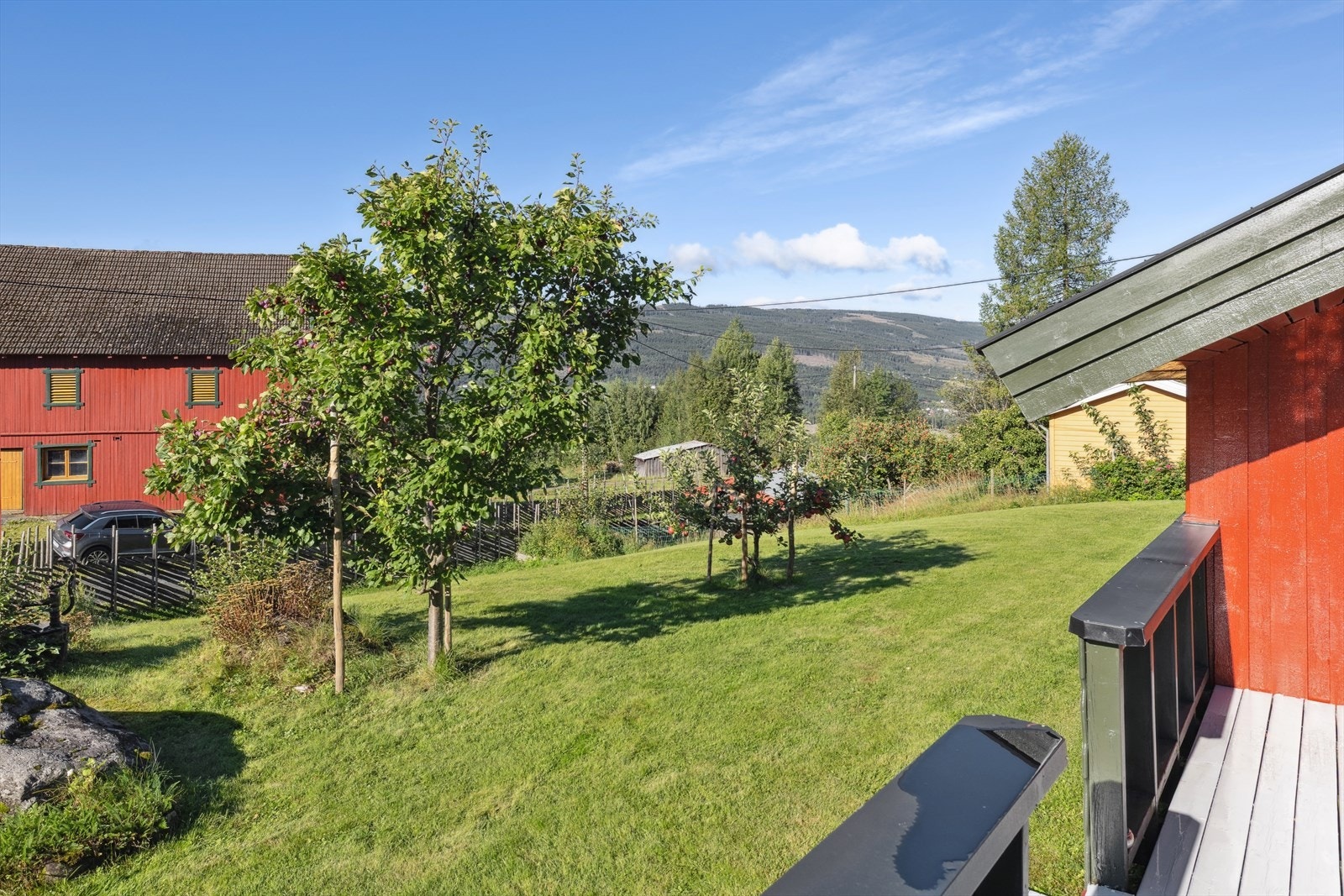 Stor og velholdt hage med plen og beplantning. Galleribilde