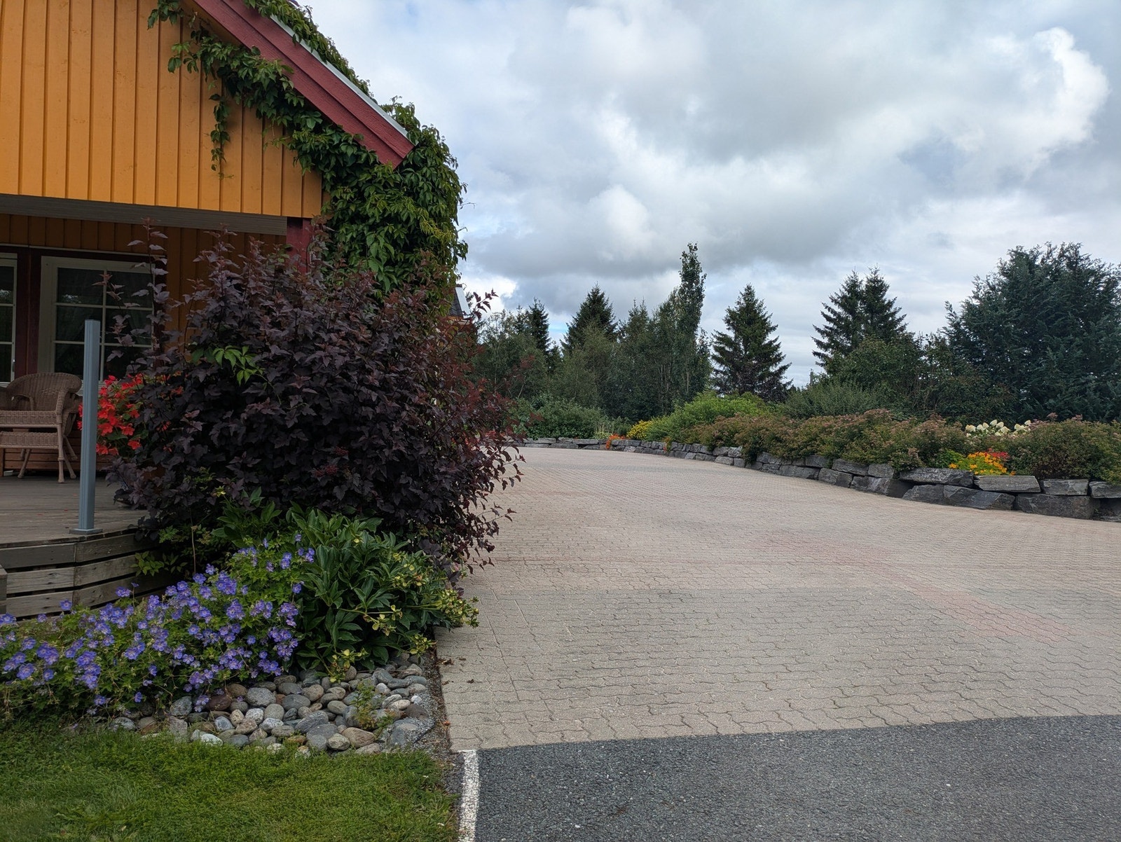 Frodig og pent beplantet uteområde Galleribilde