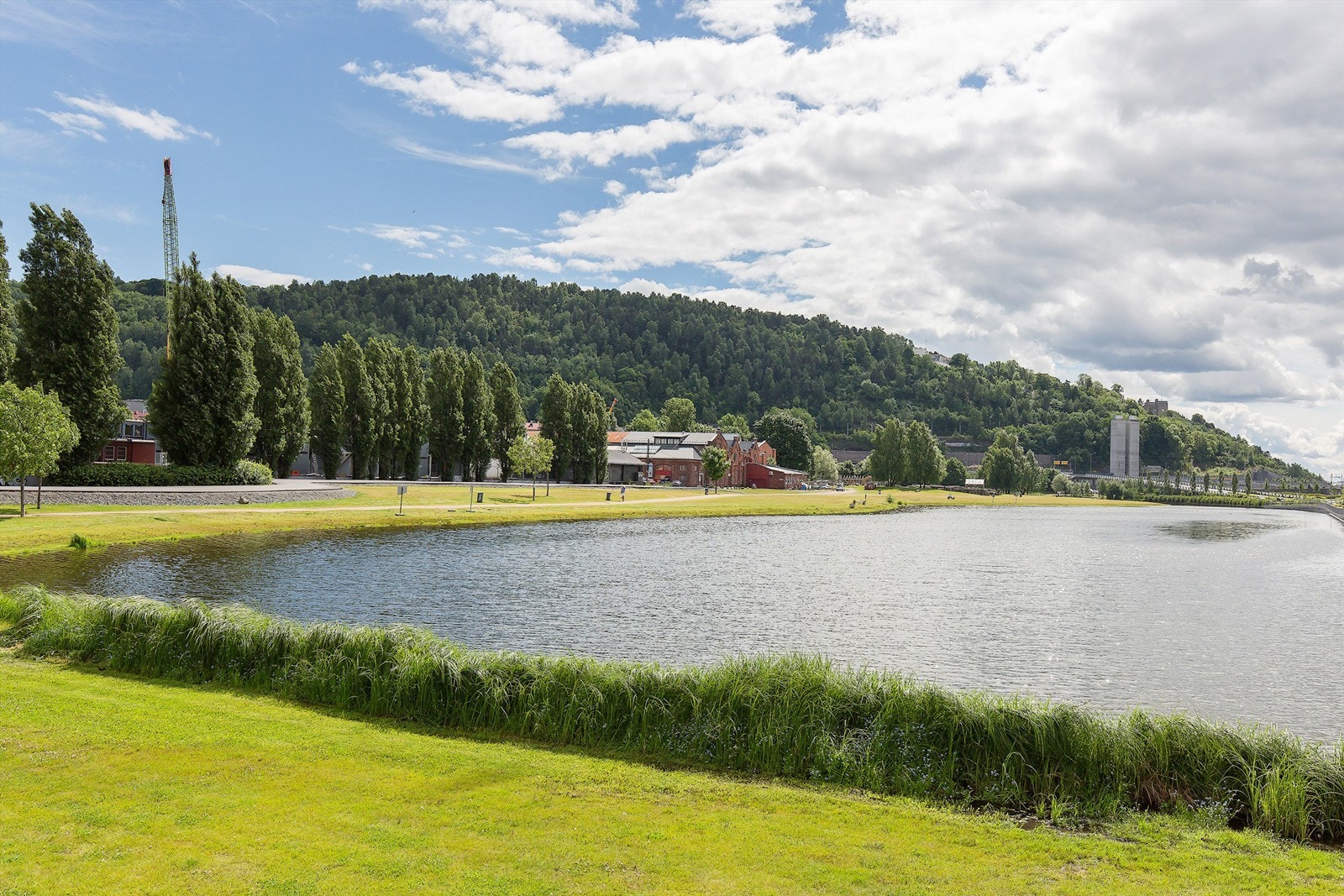 Nærområdet Galleribilde