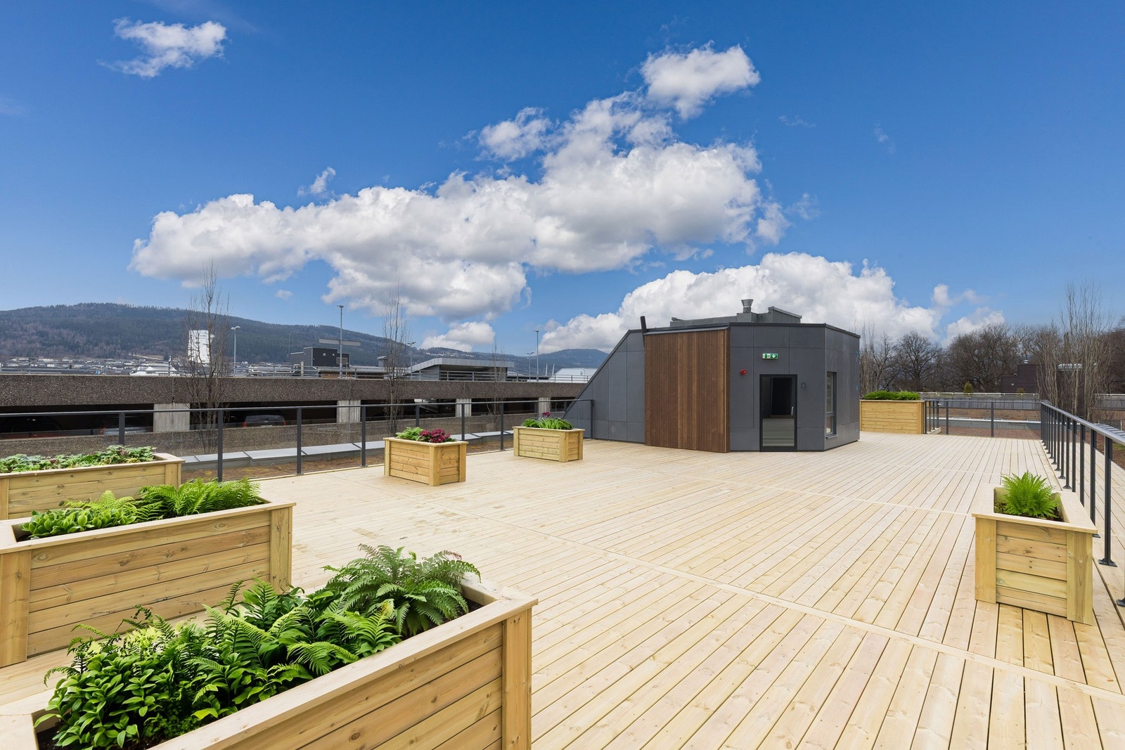 Herlig felles takterrasse. Galleribilde