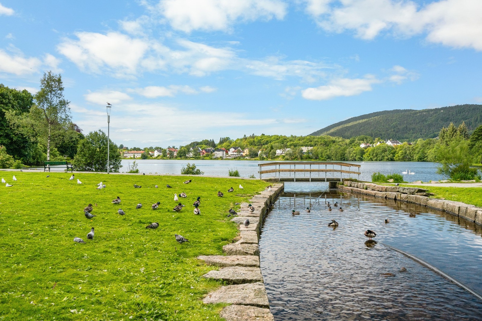 For den aktive og turglade er det rikelig med turmuligheter og aktivitetstilbud i nærområdet. Galleribilde