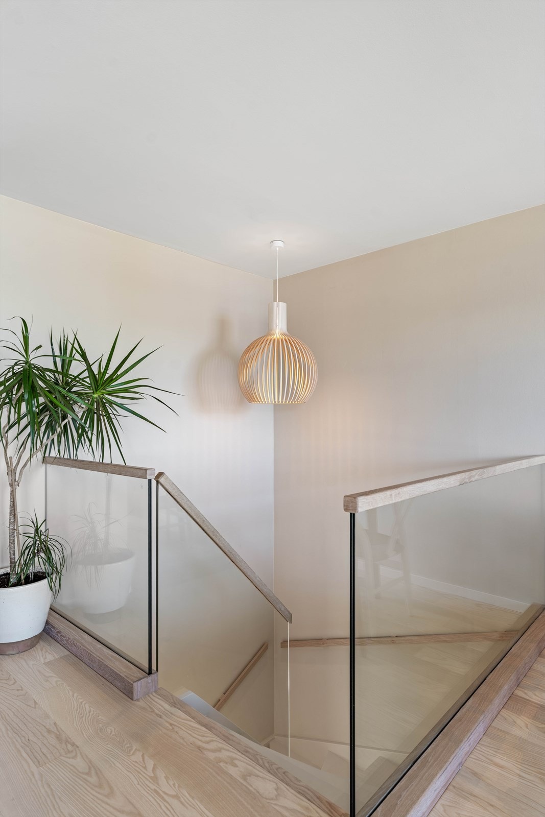 Trappen har glassrekverk rundt seg samt ned langs ene siden av trapptrinn. Galleribilde