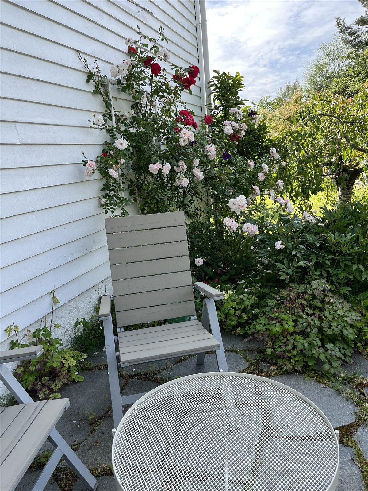 Selgers sommerbilder! Galleribilde