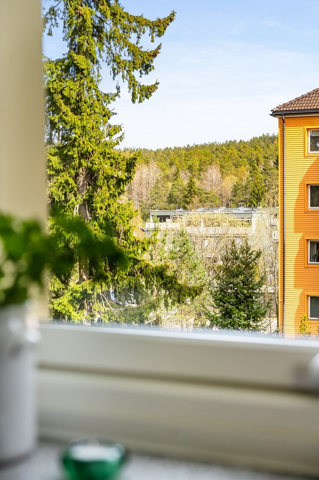 Hyggelig utsyn mot Østmarka. Galleribilde
