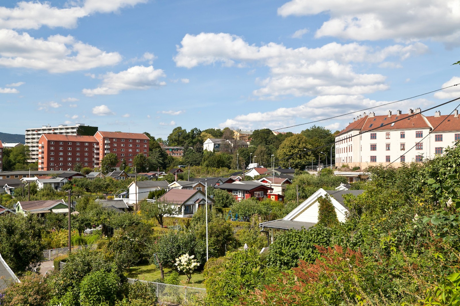 Rodeløkkens Kolonihager Galleribilde