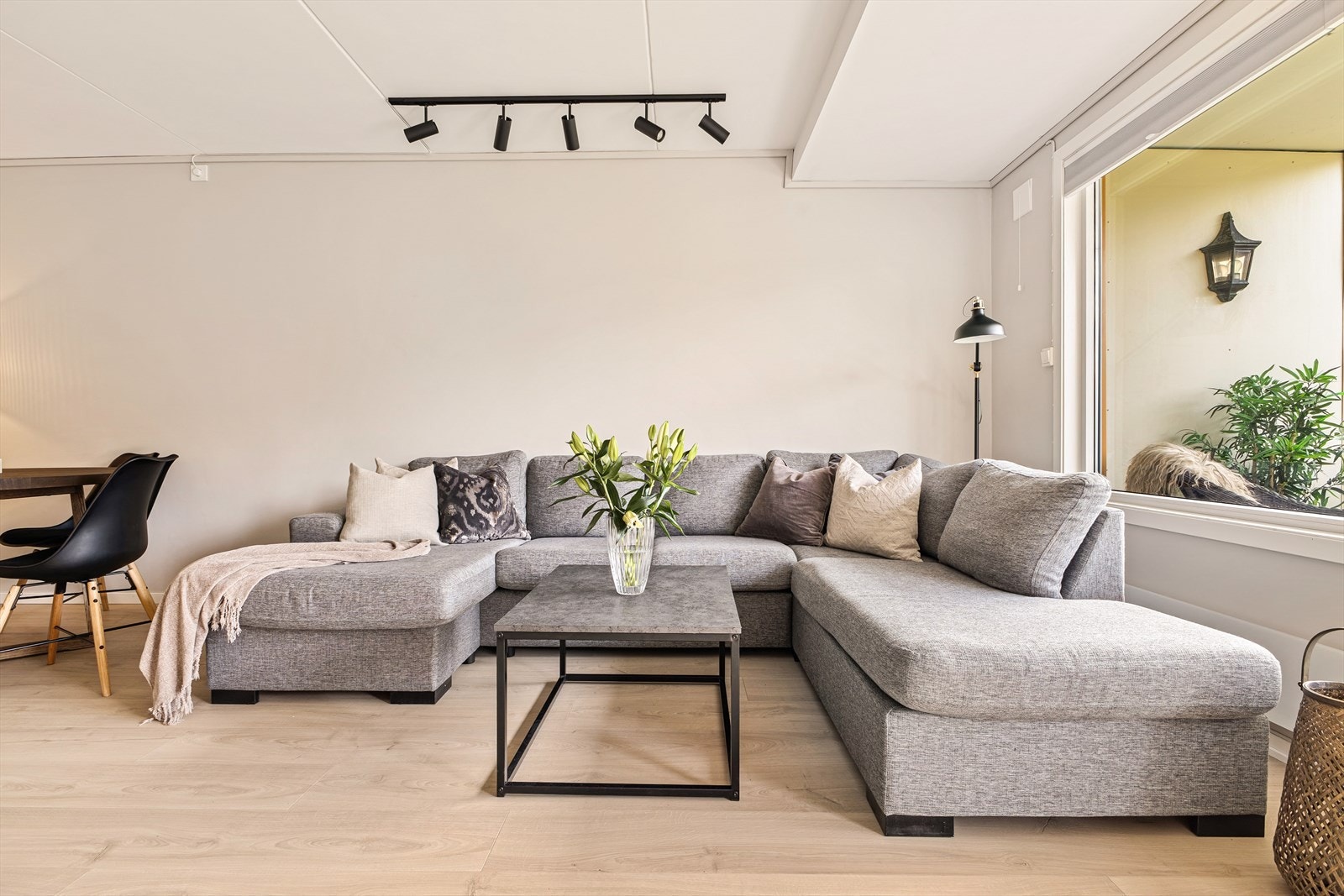 God plass til stor sofagruppe. Galleribilde