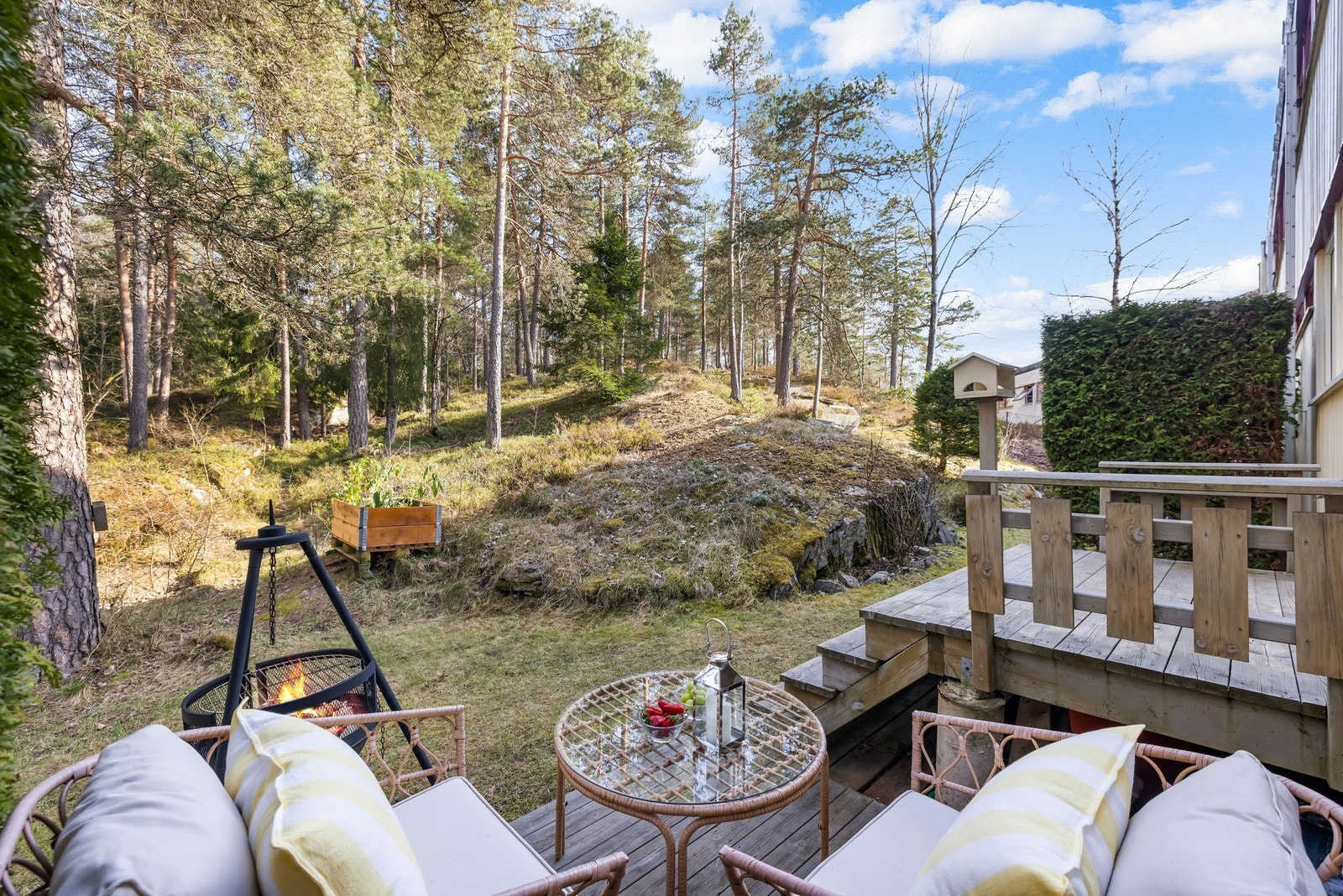 Her får du en privat oase med naturen som nærmeste nabo. Galleribilde