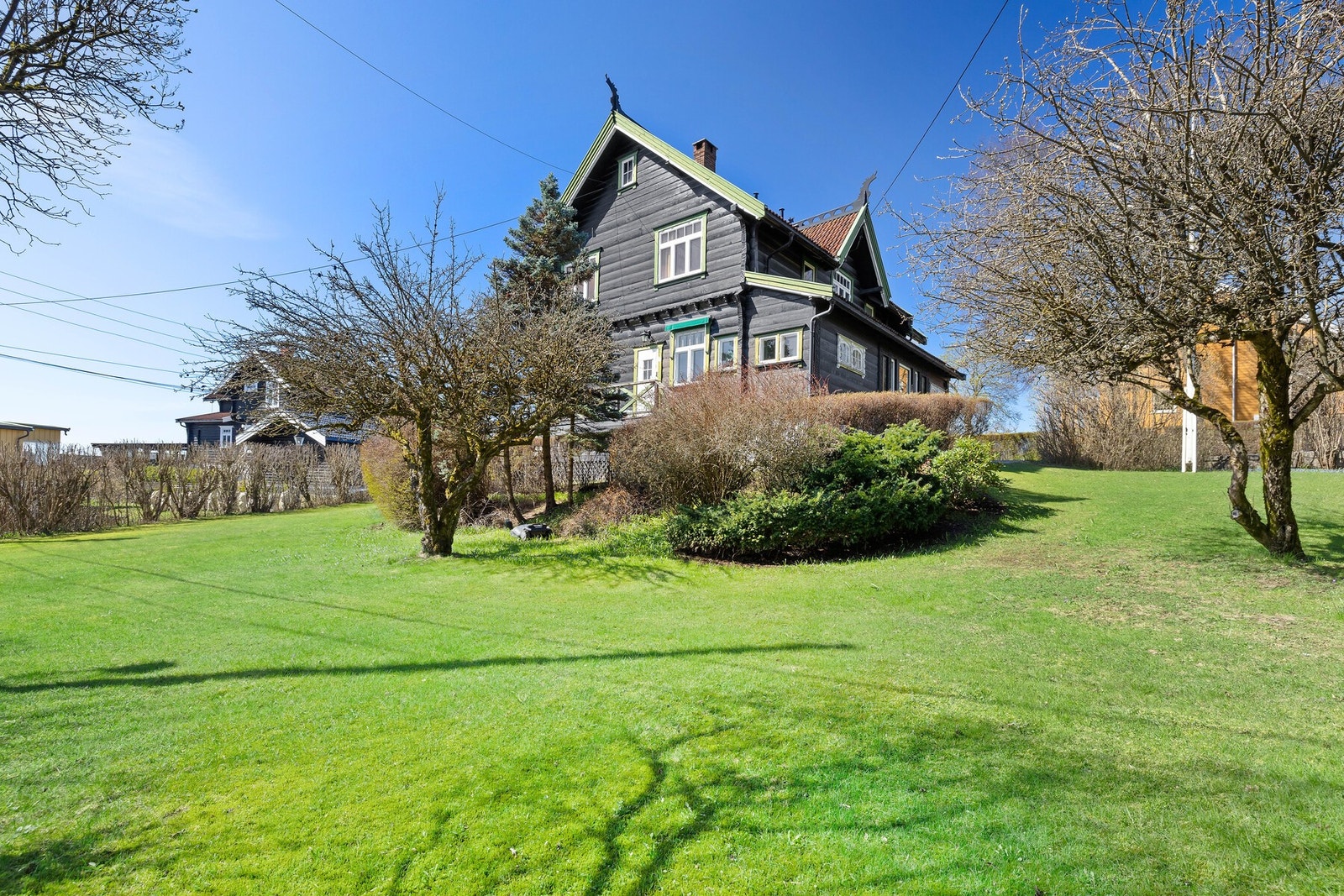 hovedbilde
