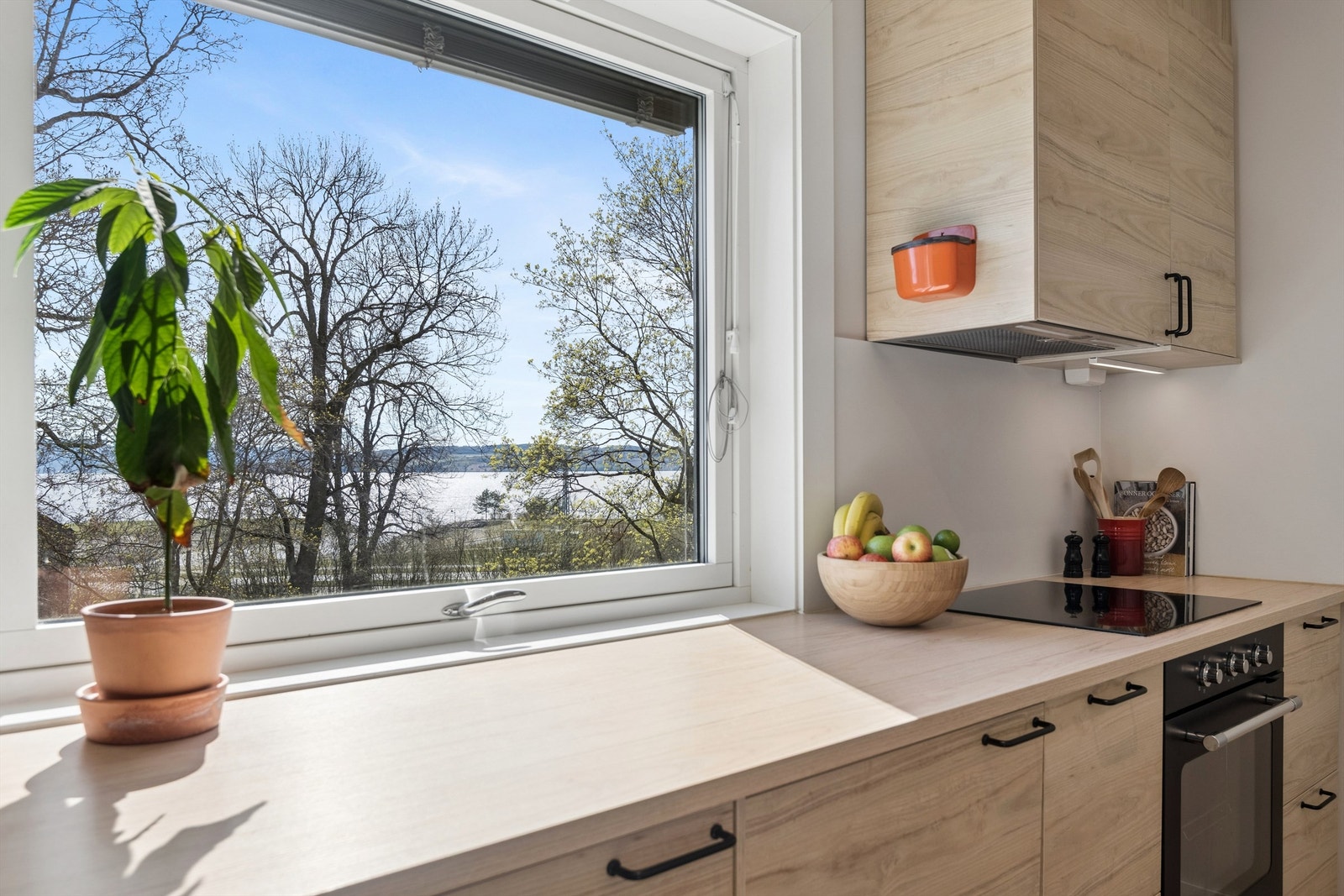 Fra kjøkkenet er det fin utsikt mot Mjøsa Galleribilde