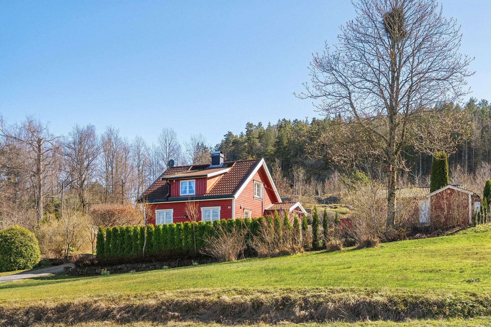 Eiendommen ligger på en skrånende naturtomt med en blanding av plen, beplantning og synlig fjell. Galleribilde