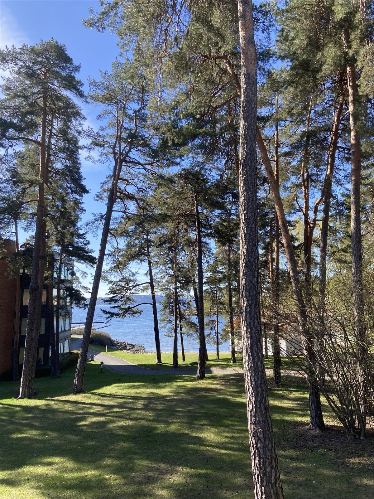 Få meter å gå til morgenbadet Galleribilde