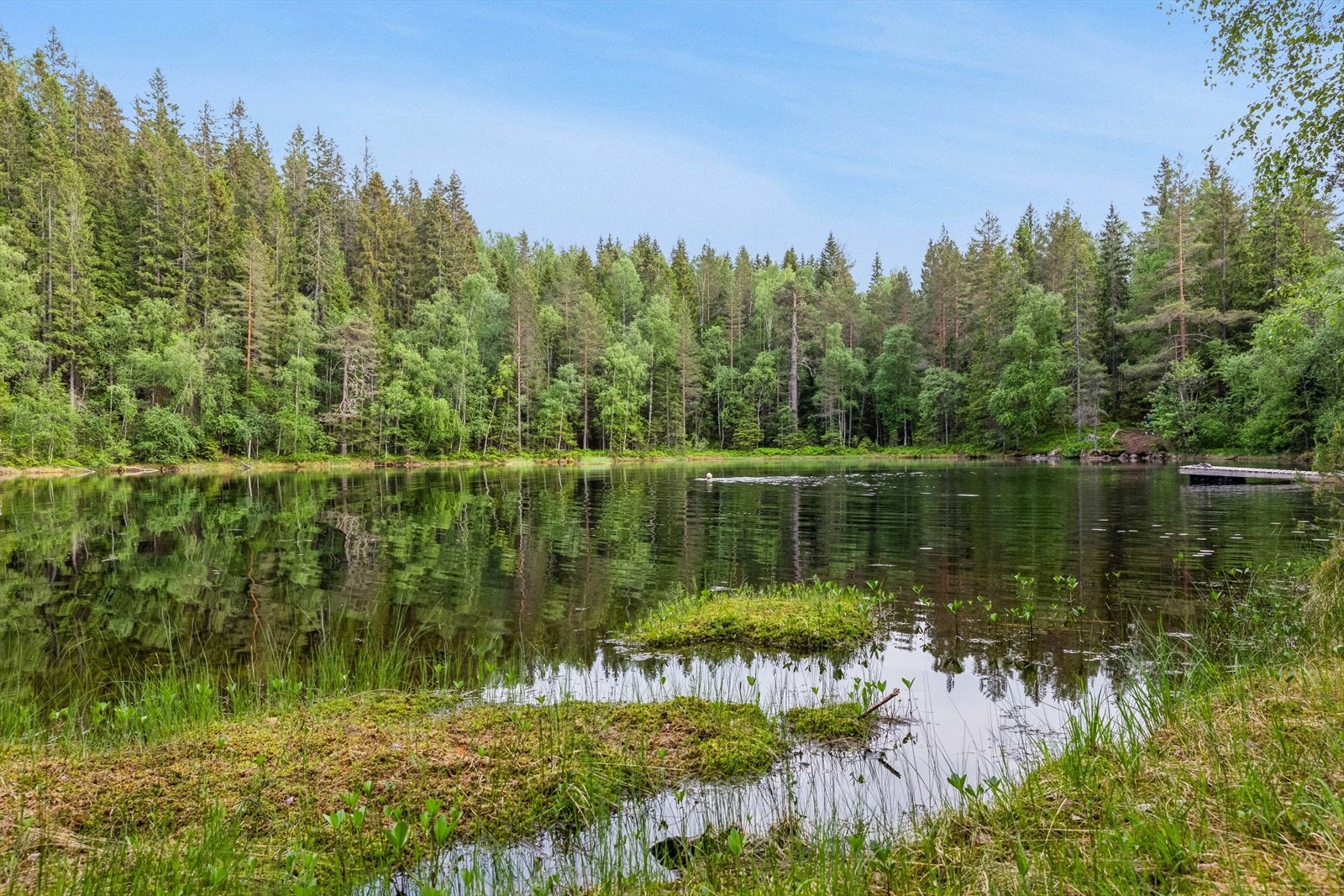 Nyt en dukkert i Klopptjern. Galleribilde