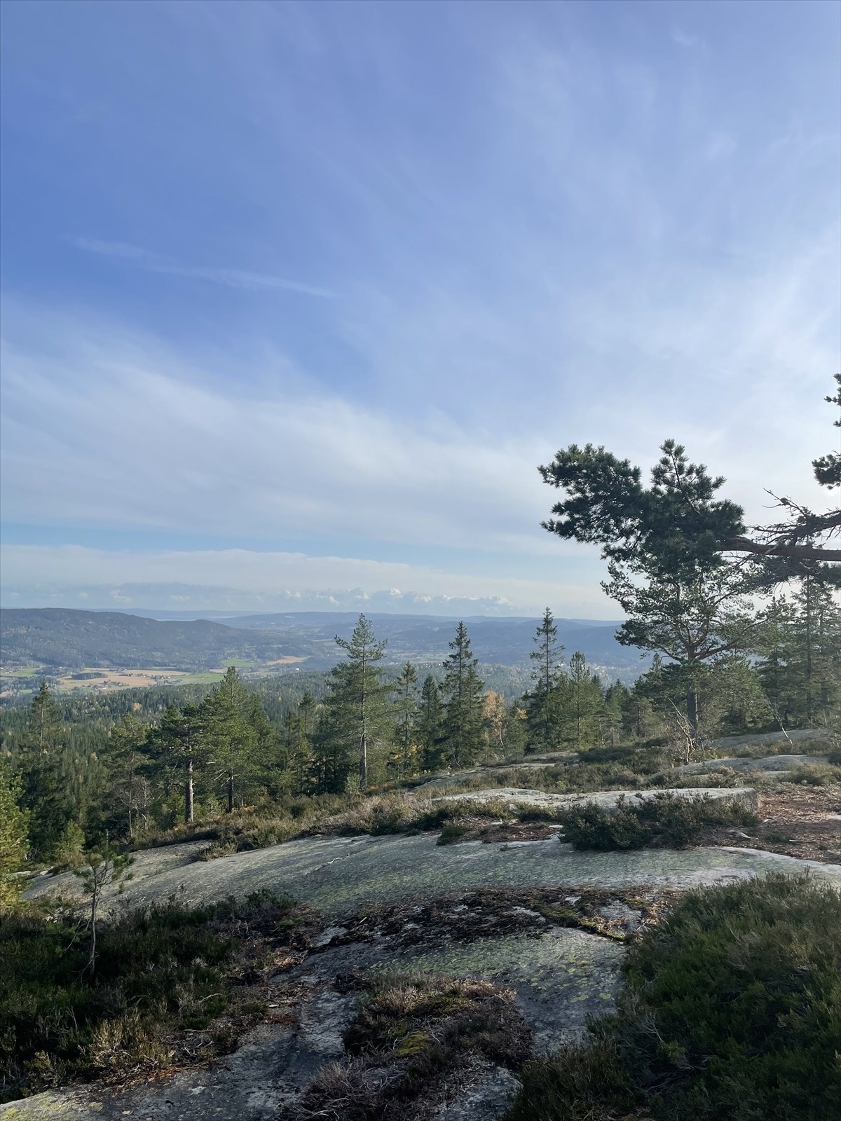 Nittedal sett fra Veslekollen.jpg Galleribilde
