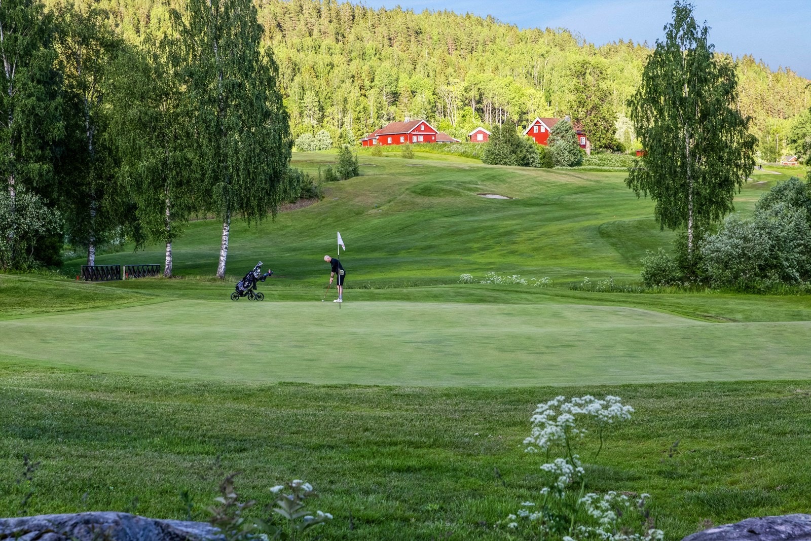 Aasgård byr på golfing i naturskjønne omgivelser. Galleribilde