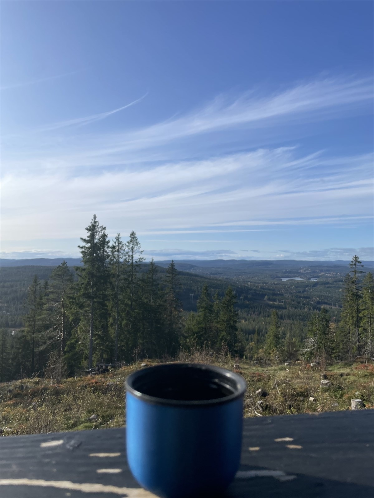Utsikten fra varingslkollen mot Langvann.jpg Galleribilde