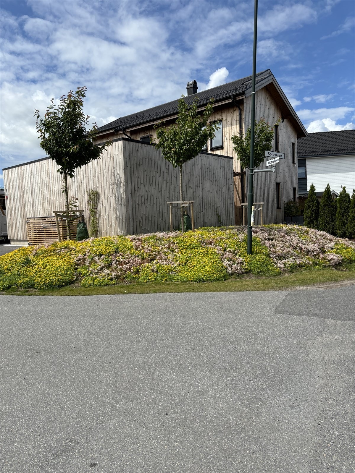 Selgers private bilder fra sommertider Galleribilde