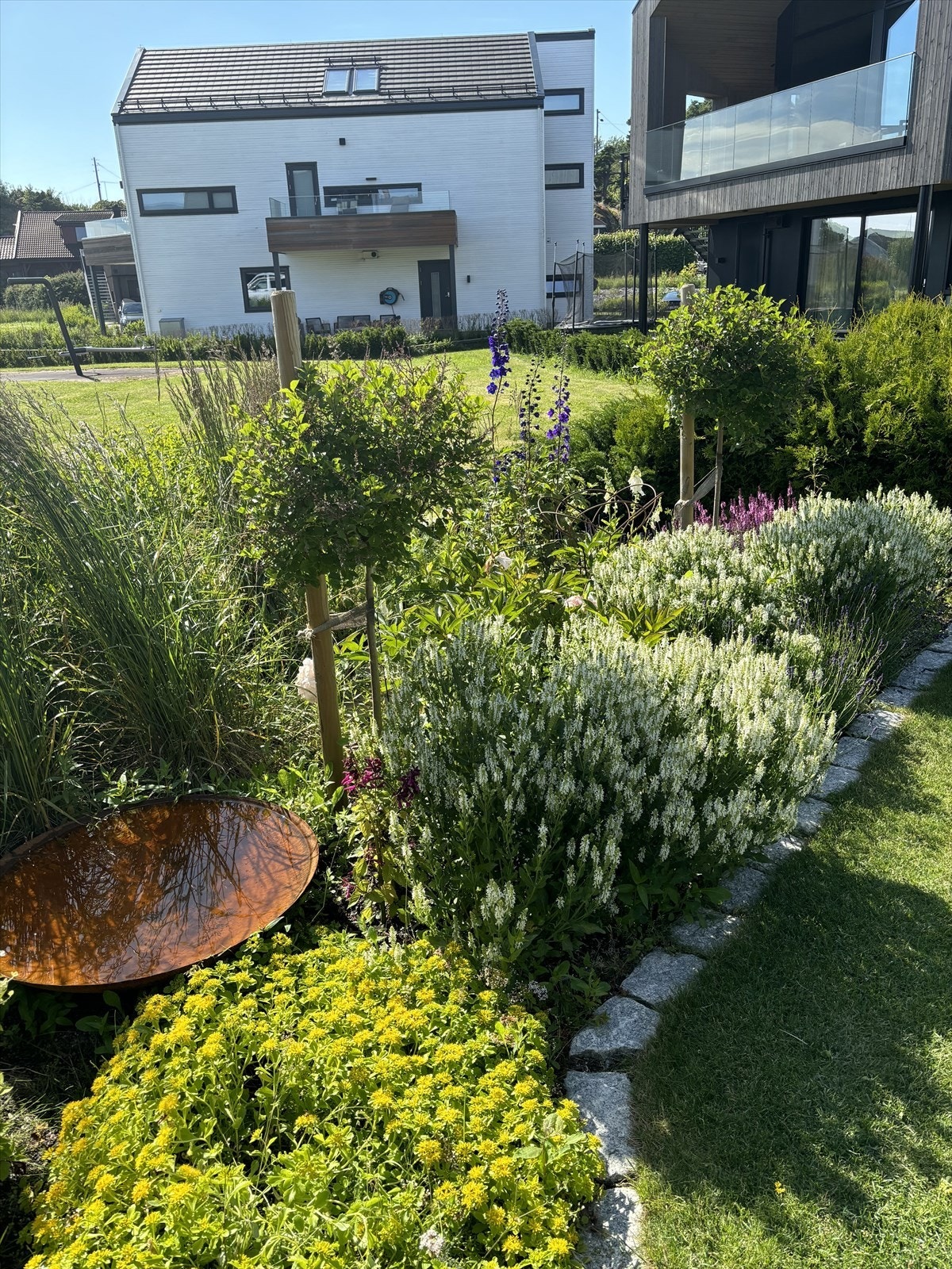 Selgers private bilder fra sommertider Galleribilde
